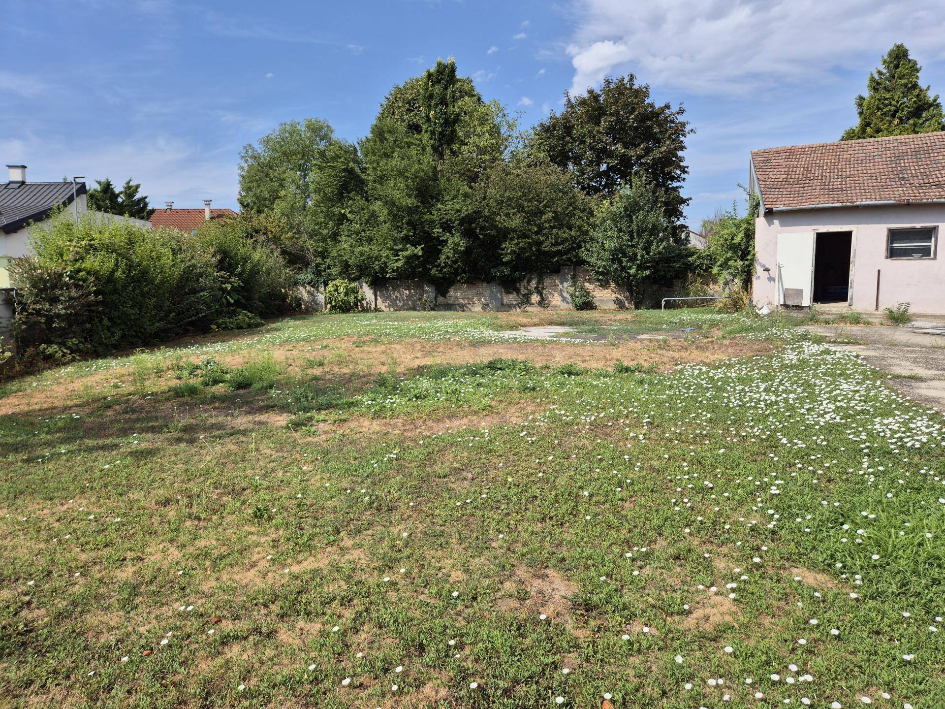 Garten2