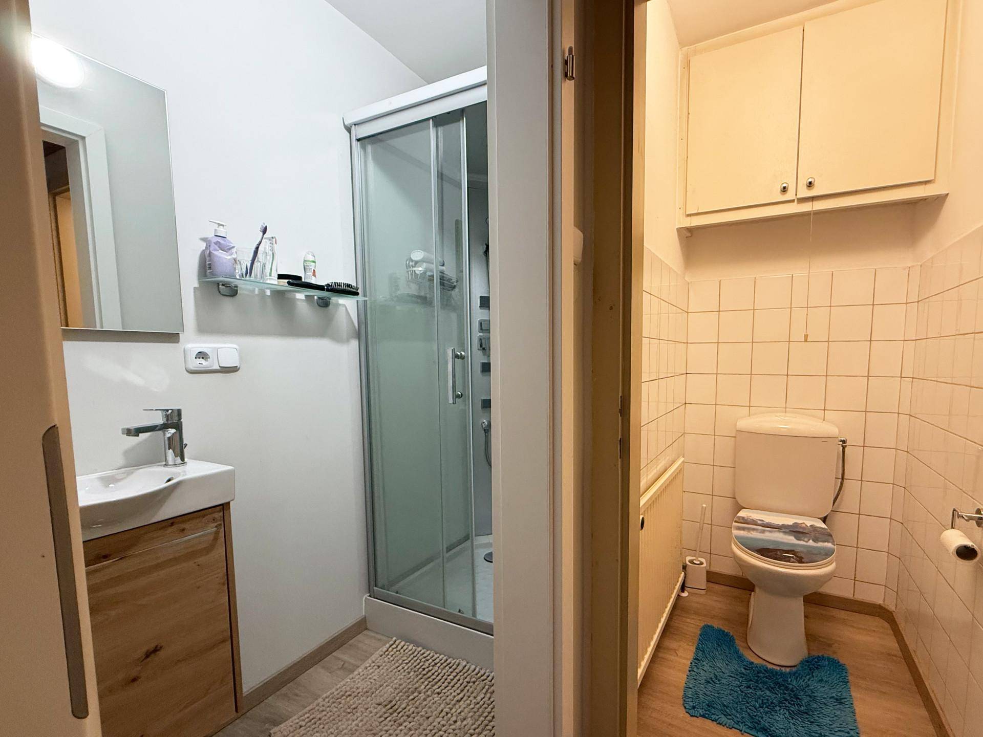 Badezimmer mit Duschkabine und separatem WC-Bereich mit Fliesen.