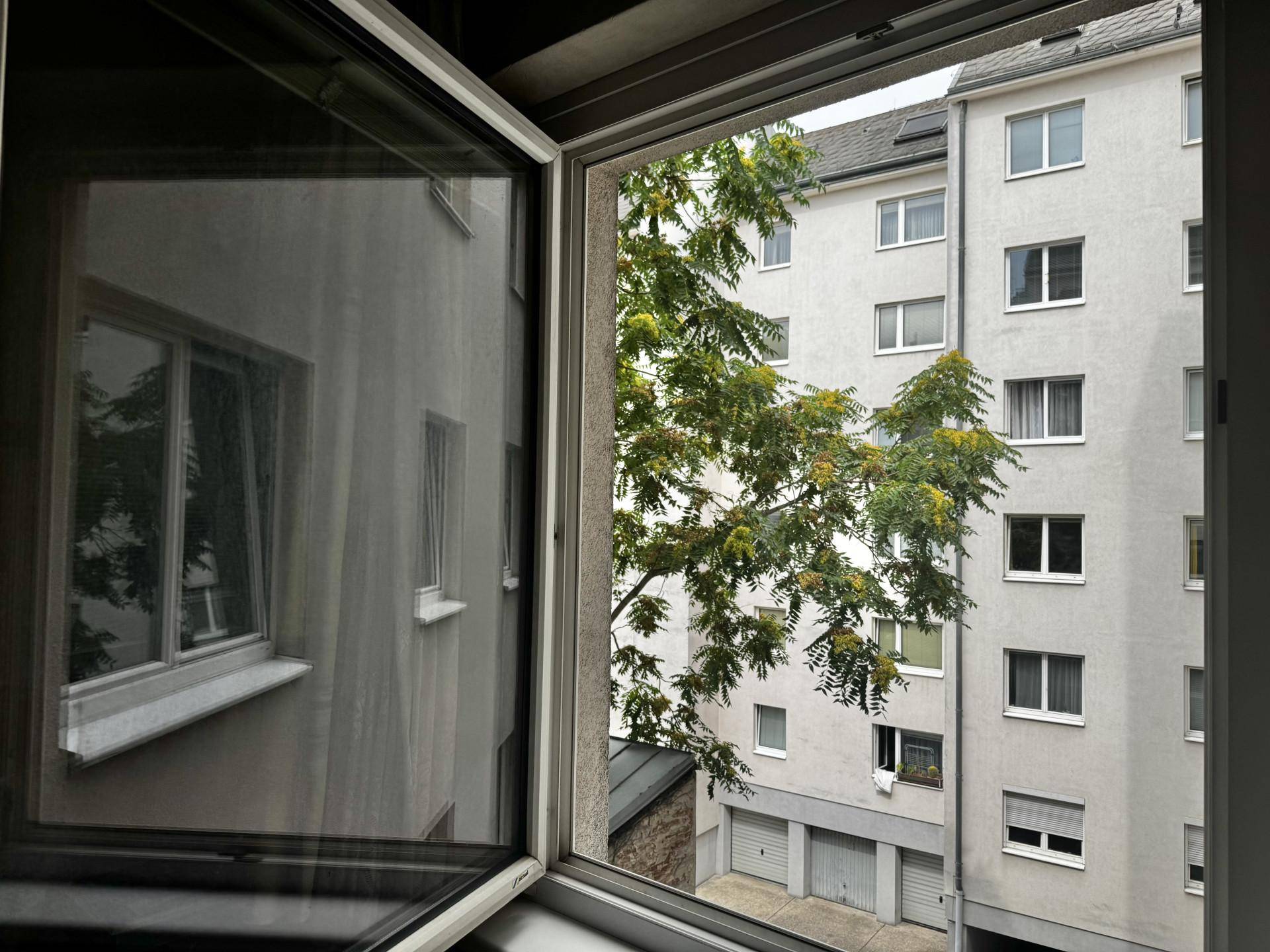 Blick aus dem Fenster auf die Fassade eines Wohngebäudes und einen grünen Baum.