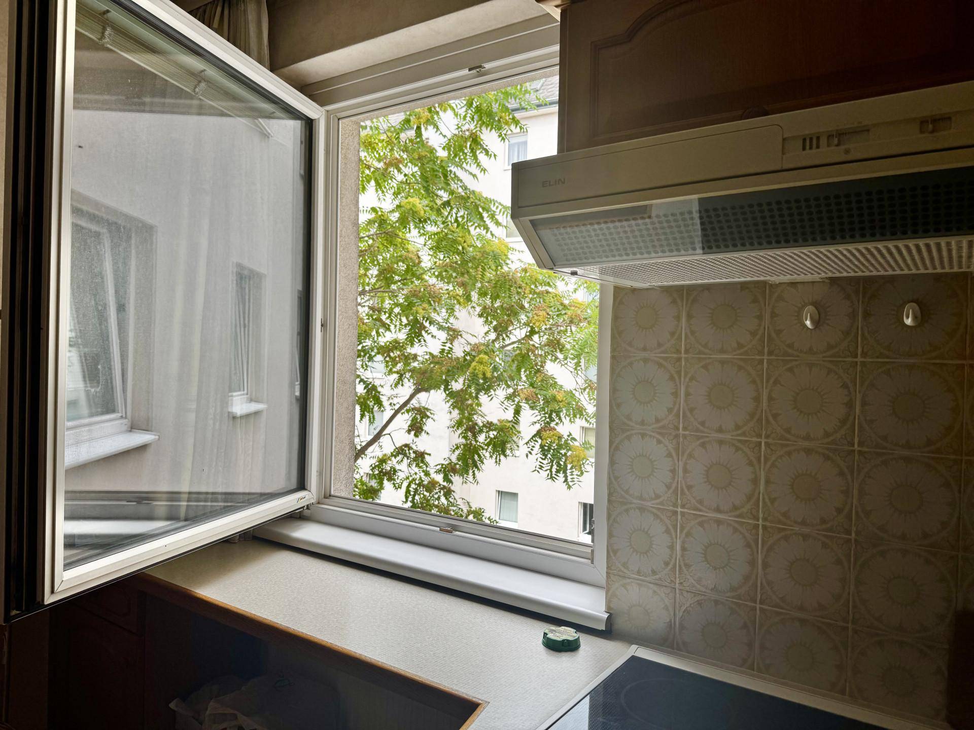 Küchenfenster mit Blick auf einen Baum und die Dunstabzugshaube über dem Kochfeld.