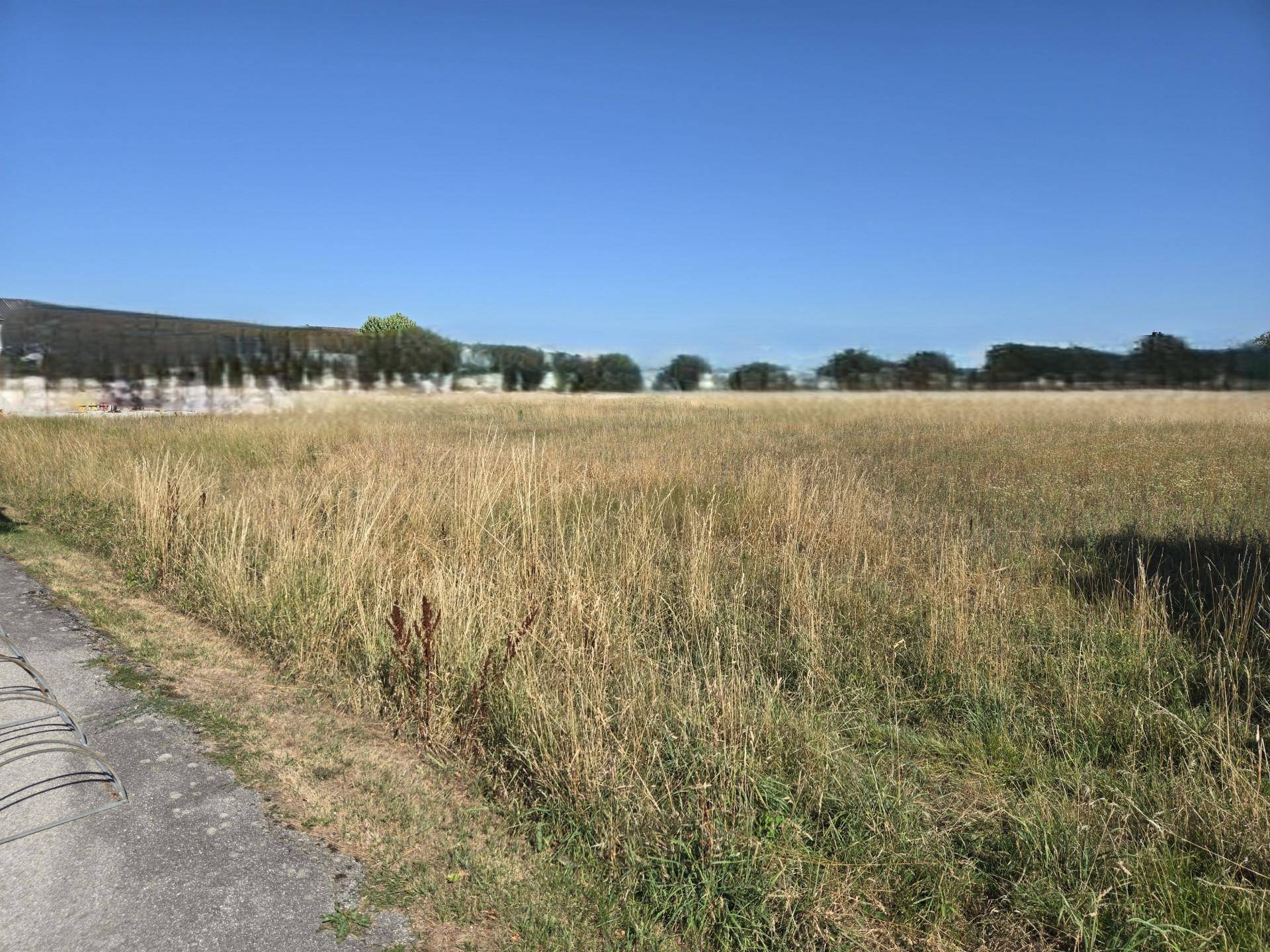 Weitläufiges trockenes Feld mit einem langen Gebäude im Hintergrund und klarem, sonnigen Himmel.