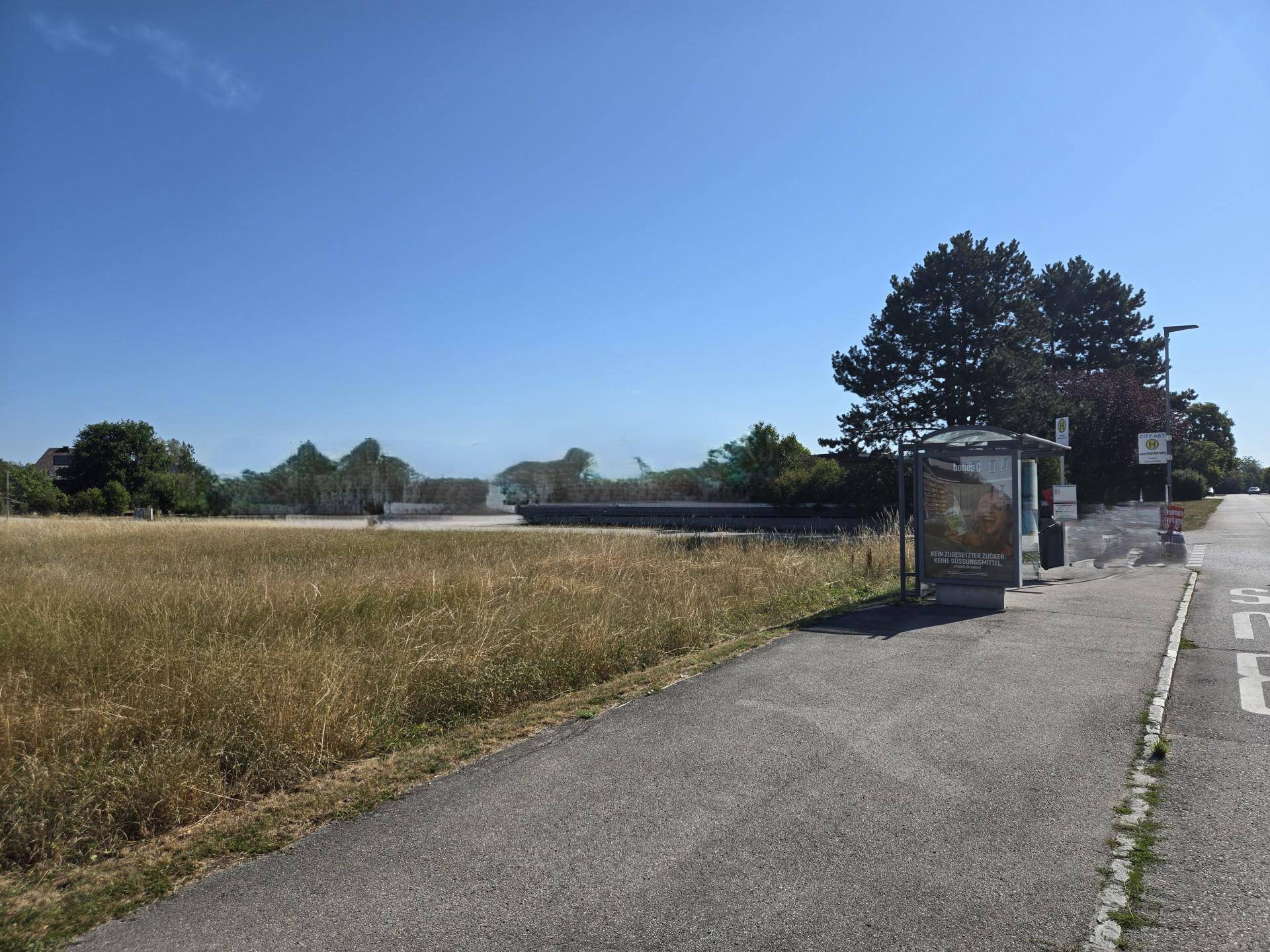 Weitläufiges trockenes Feld mit einer Bushaltestelle und Bäumen im Hintergrund unter blauem Himmel.