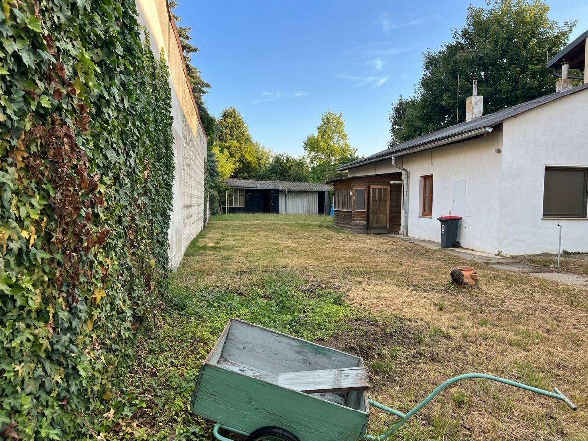 Ungepflegter Gartenbereich mit trockener Rasenfläche, Efeu bewachsener Mauer und einem kleinen Schuppen.