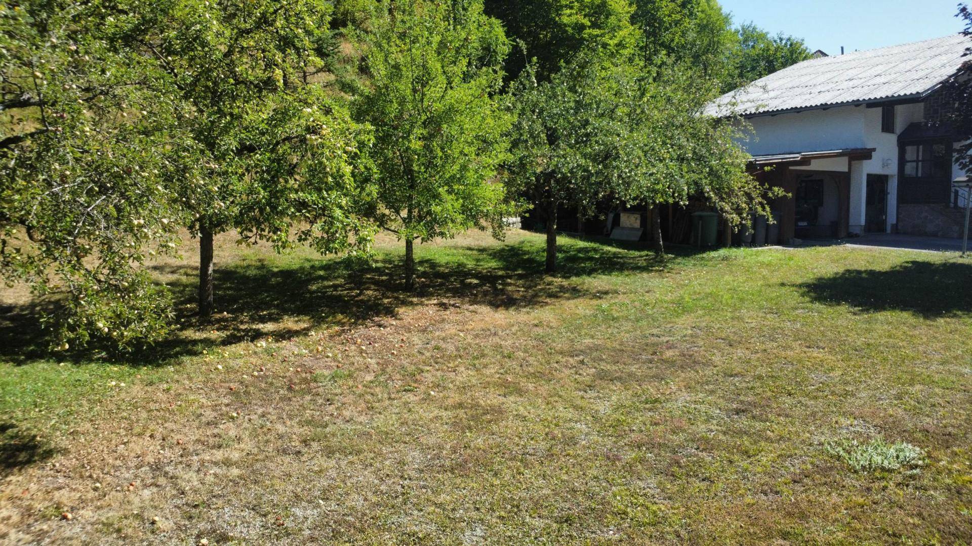 Großer Gartenbereich mit Obstbäumen und Rasenfläche vor dem Haus, umgeben von viel Grün.