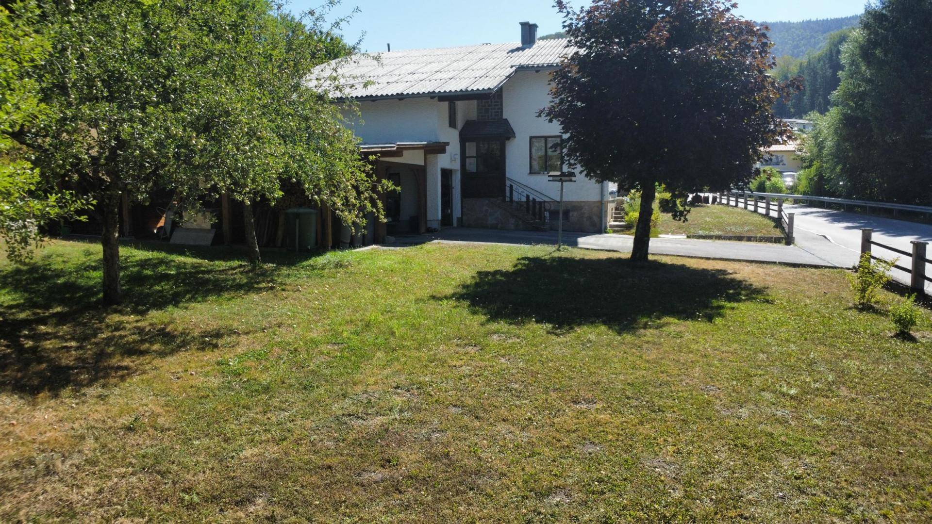 Großer Rasenbereich mit Bäumen vor dem Haus, ideal für Outdoor-Aktivitäten.