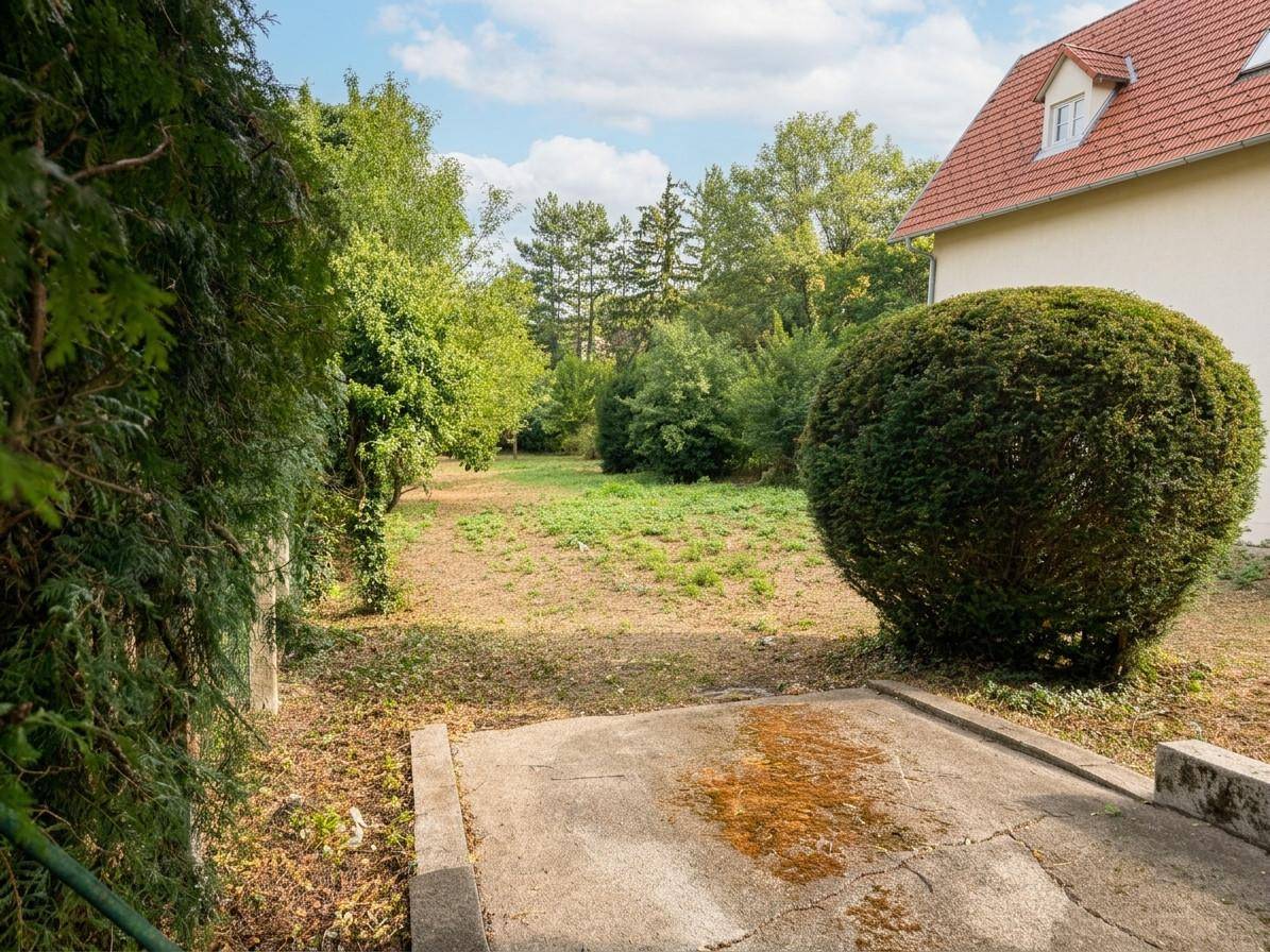 Gartengrundstück mit einer Betonfläche, umgeben von dichter Hecke und Bäumen, mit Blick auf ein Wohnhaus.