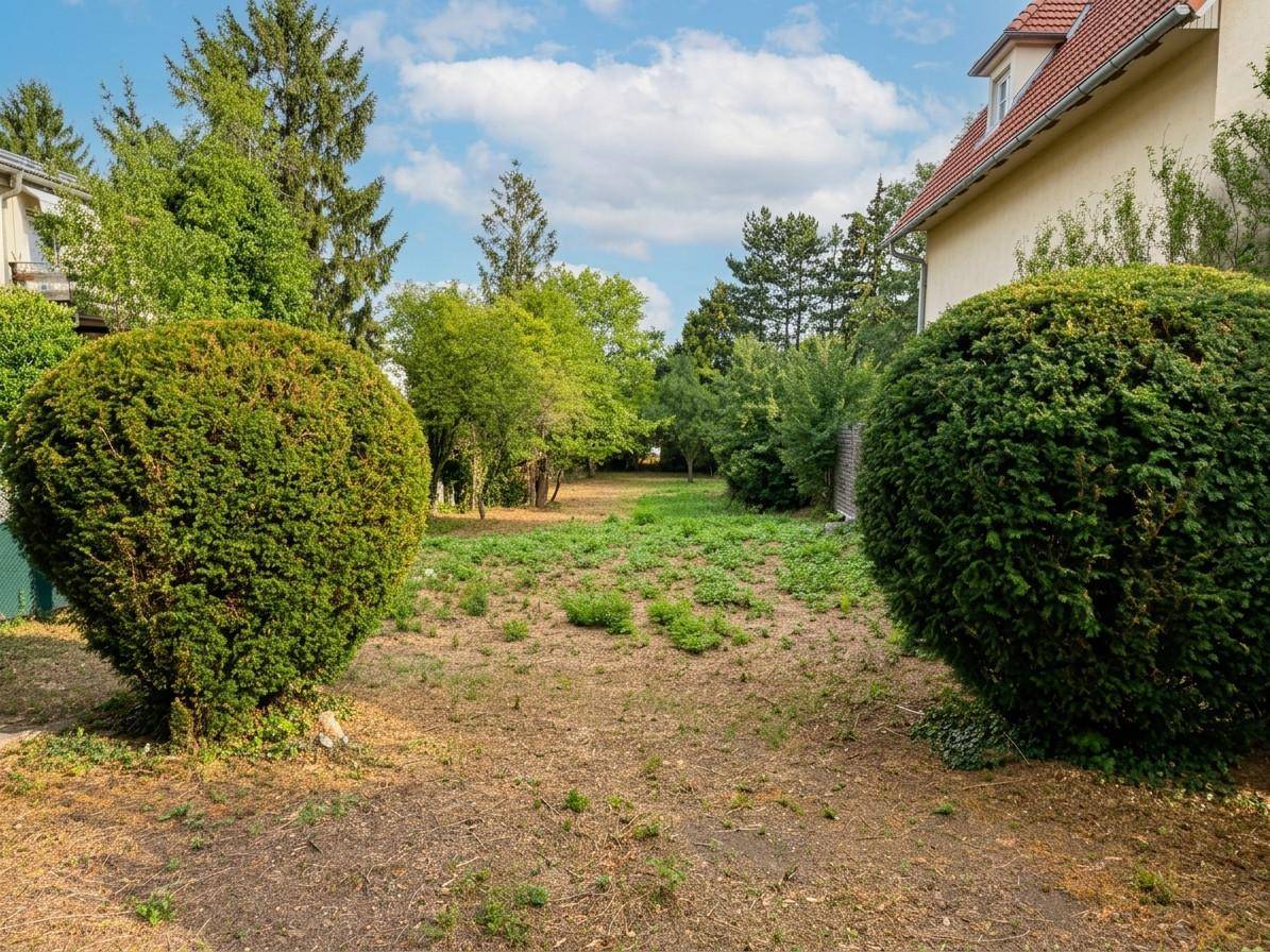 Weitläufiges Gartengrundstück mit großen Büschen und Blick auf ein Wohnhaus mit rotem Dach.