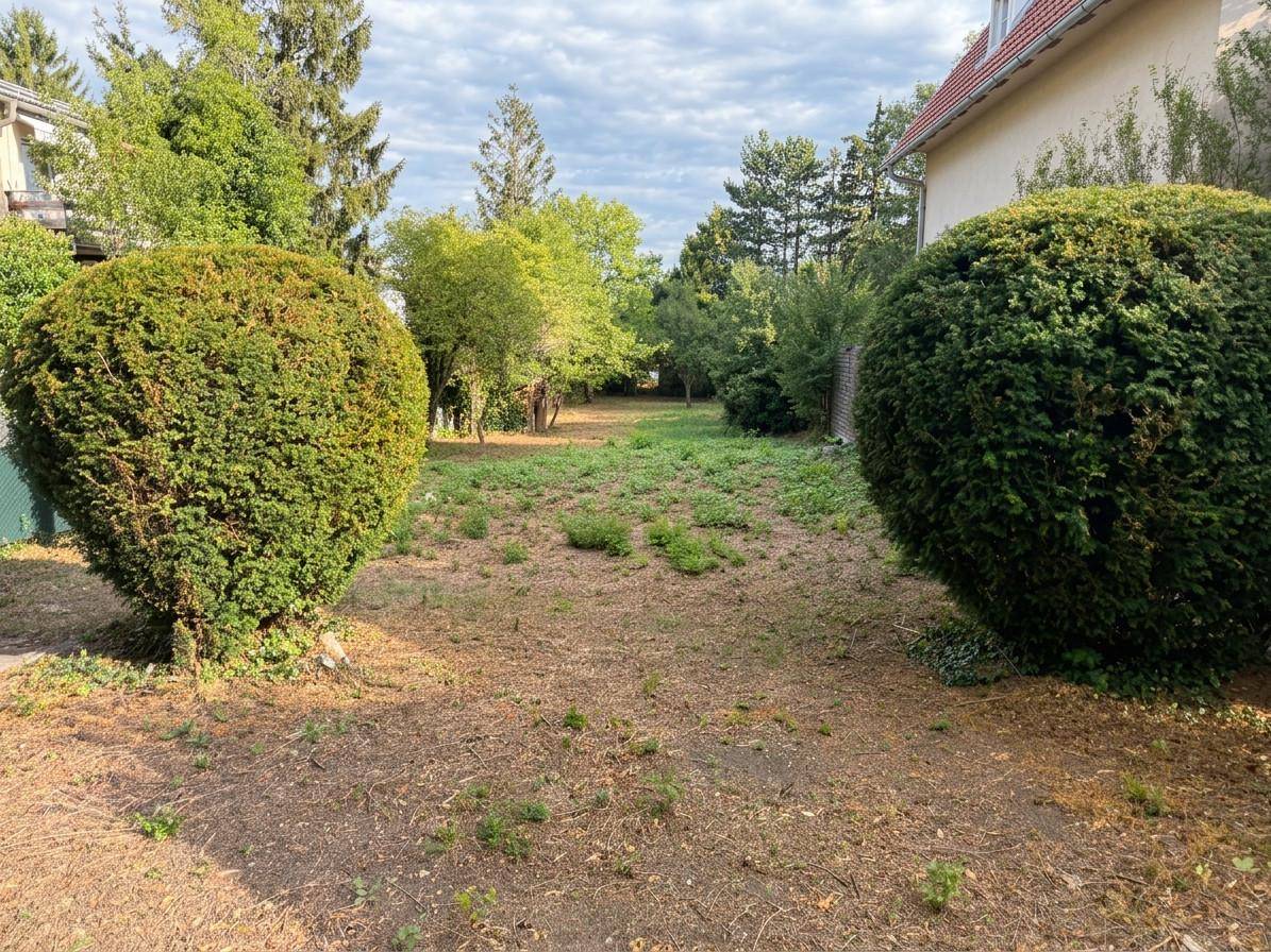 Unbebautes Gartengrundstück mit üppiger Vegetation und gepflegten Büschen im Vordergrund.