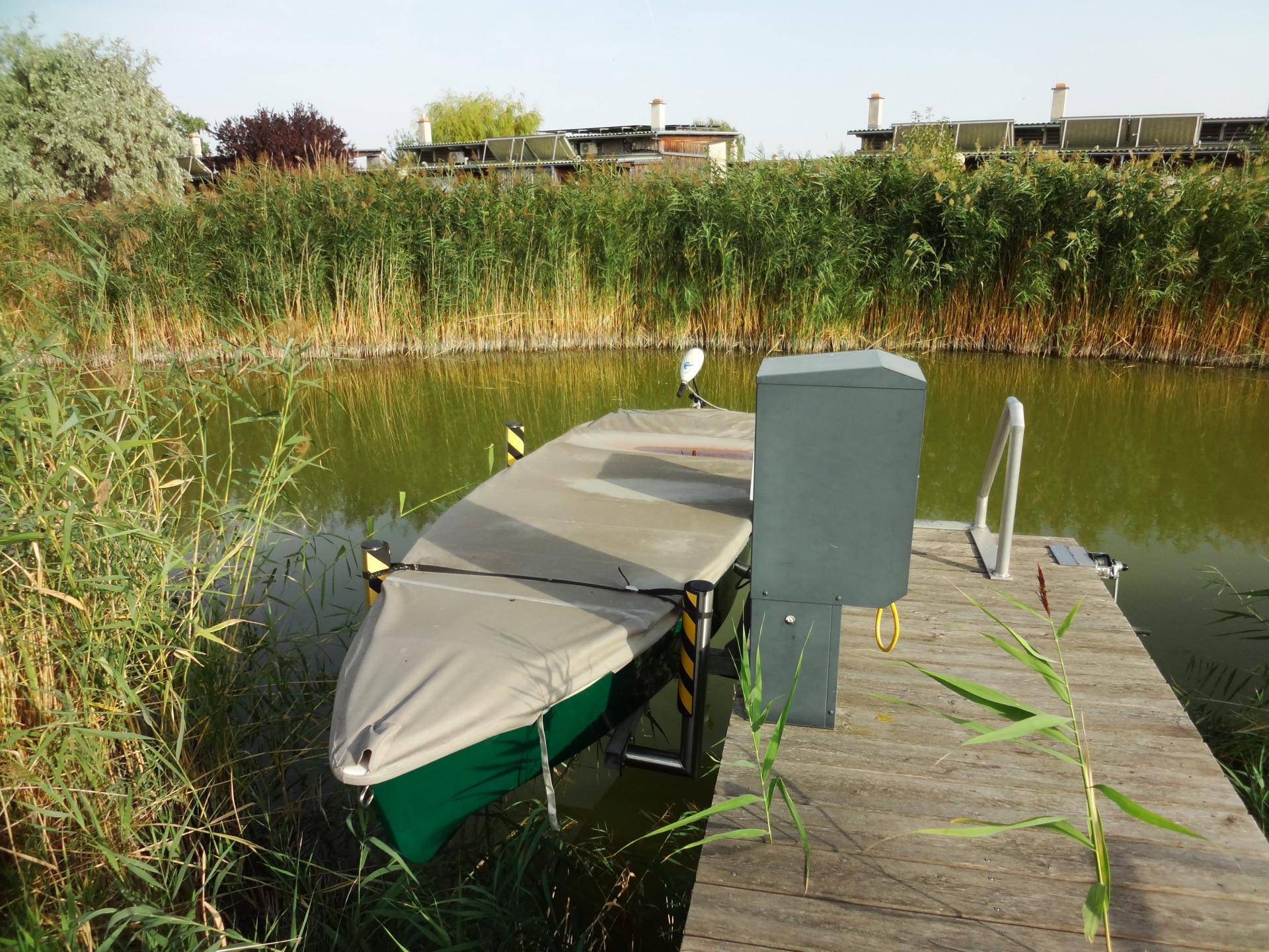 Holzsteg mit einem abgedeckten Boot am Ufer, umgeben von Schilf und Natur.