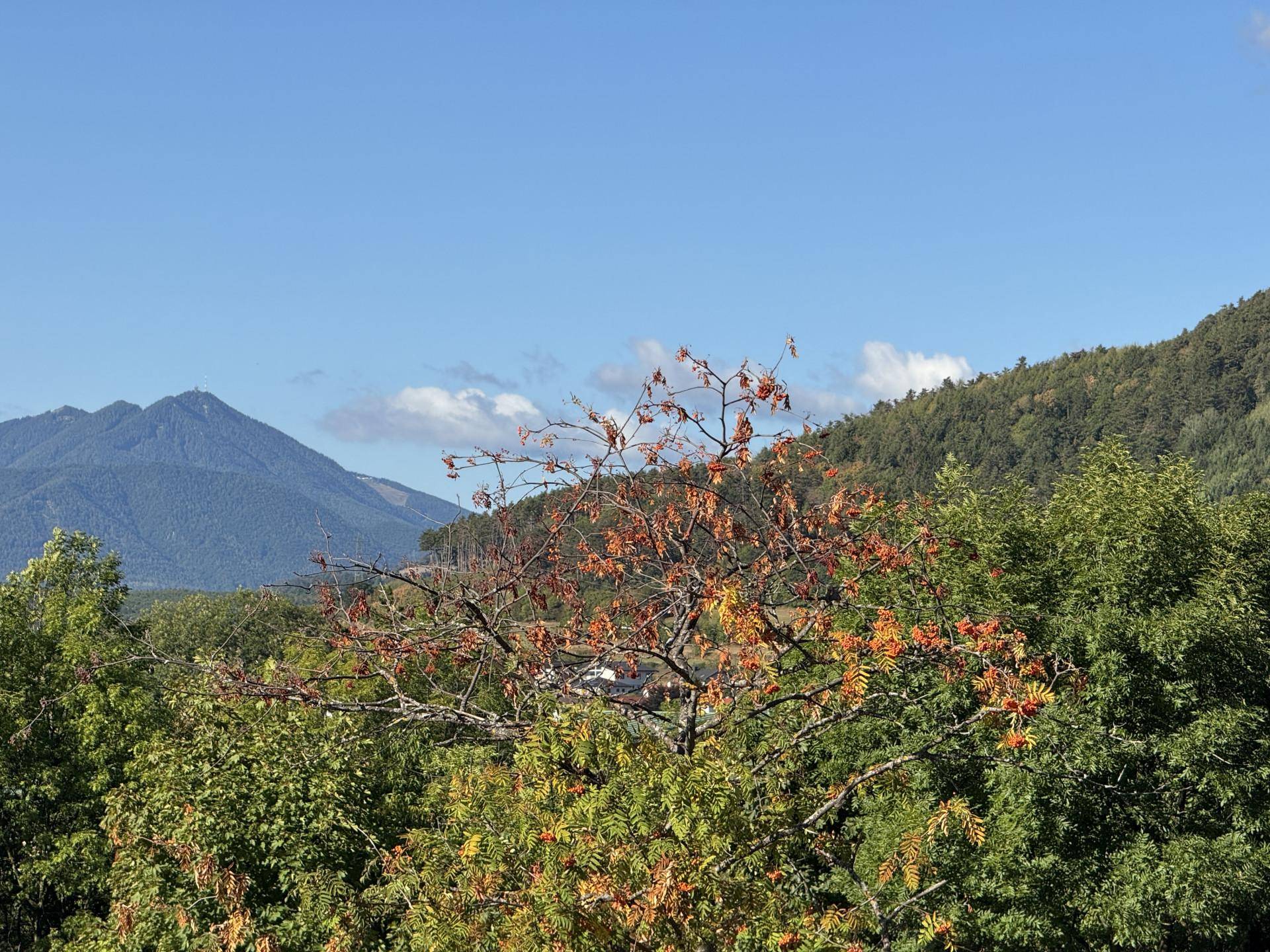 Ausblick von der Eingangsseite