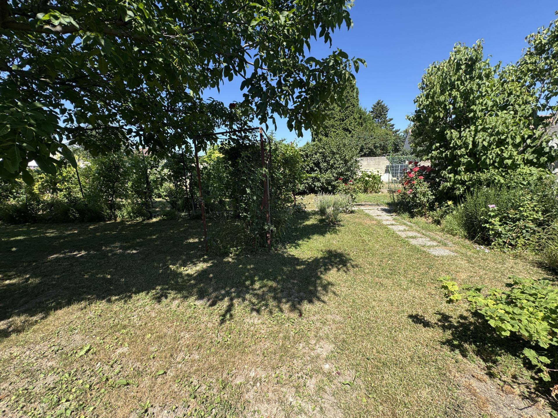 Großer, sonniger Garten mit Rasenfläche, schattenspendenden Bäumen und einem Pfad.