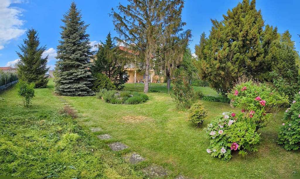Üppiger Garten mit vielfältiger Bepflanzung, großen Bäumen und einem kleinen Steinpfad an einem sonnigen Tag.
