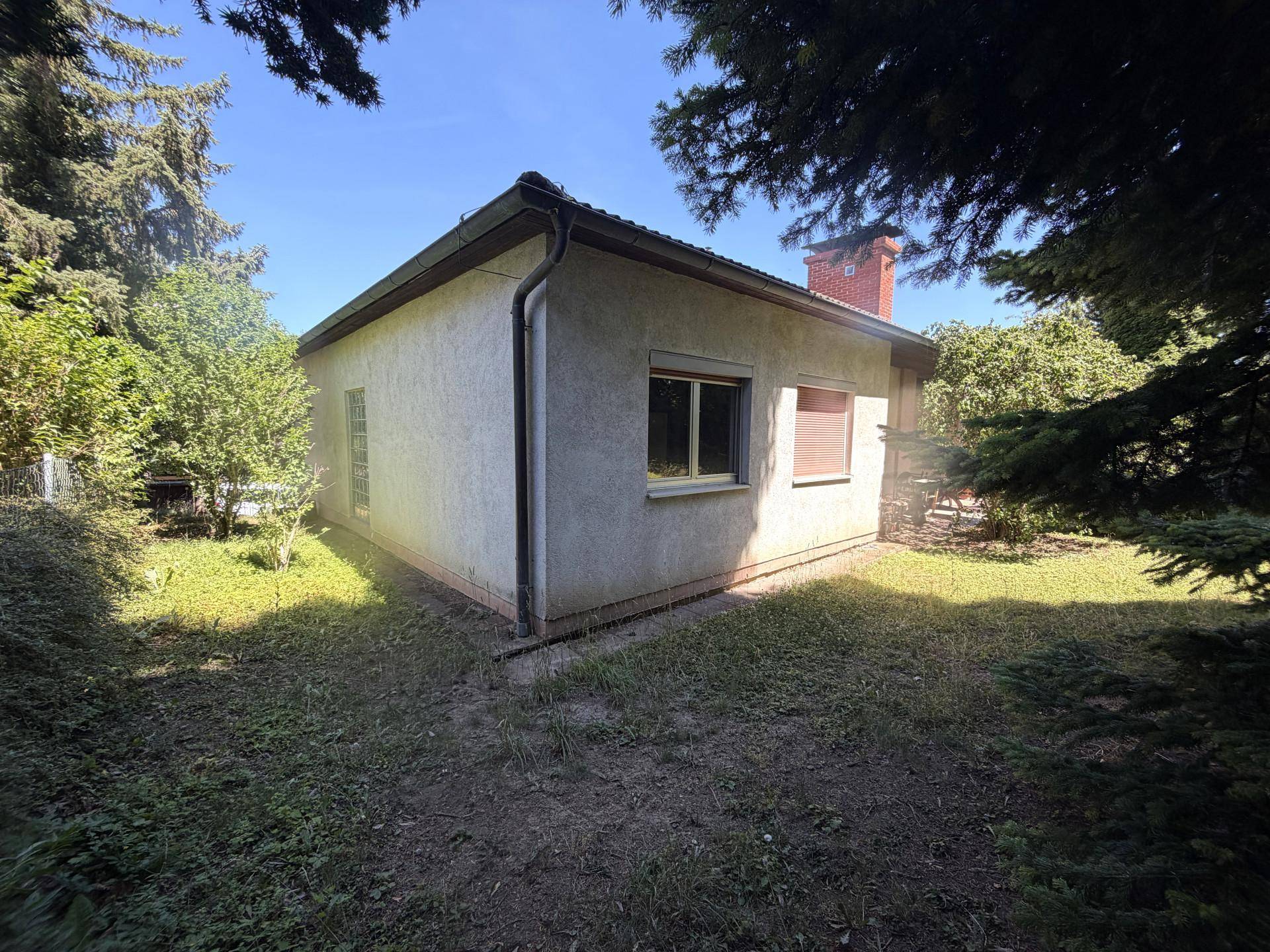 Seitenansicht des Hauses umgeben von üppigem Grün und hohen Bäumen unter blauem Himmel.