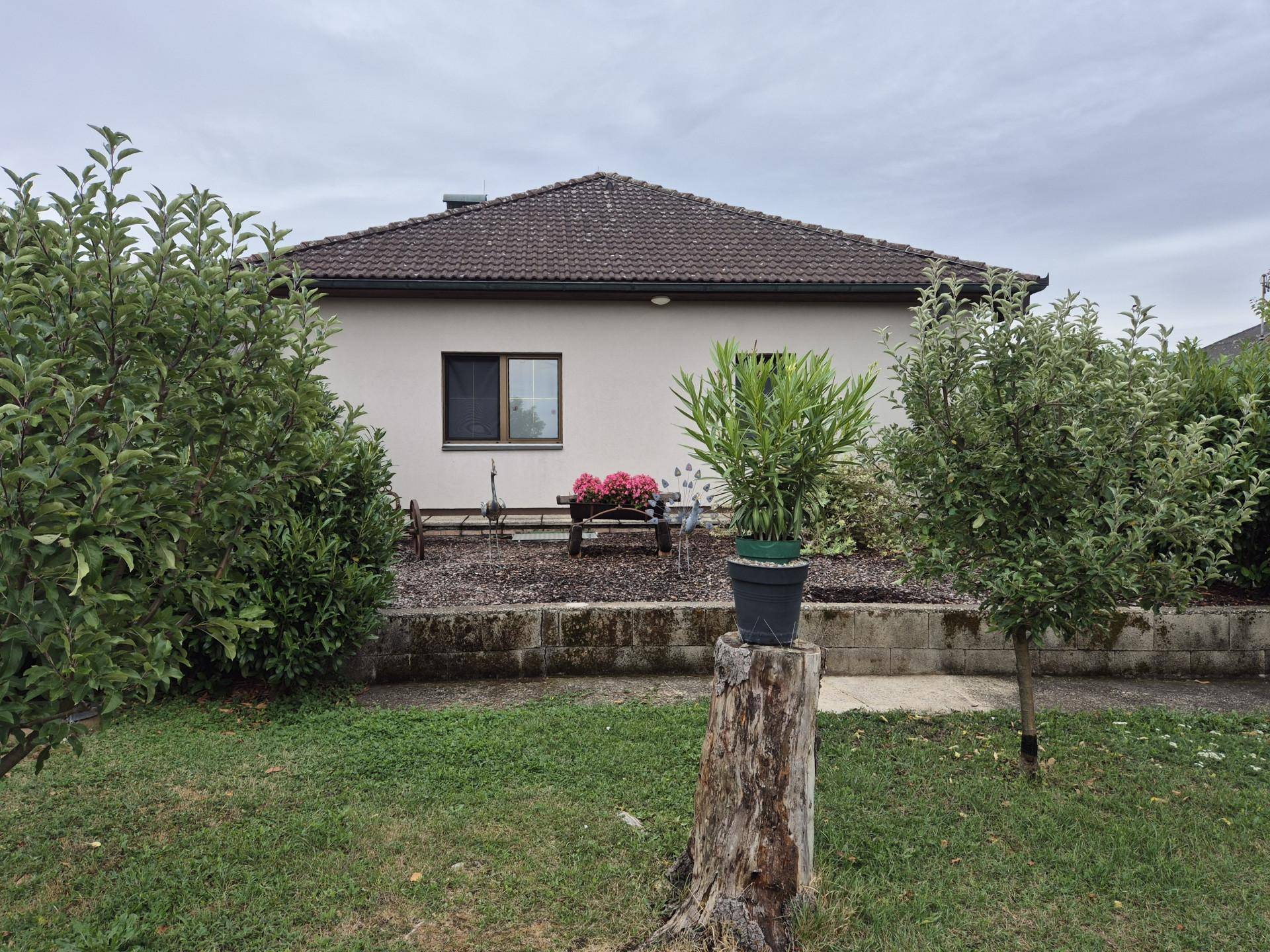 Hinteransicht des Hauses mit gepflegtem Gartenbereich und kleinen Bäumen.