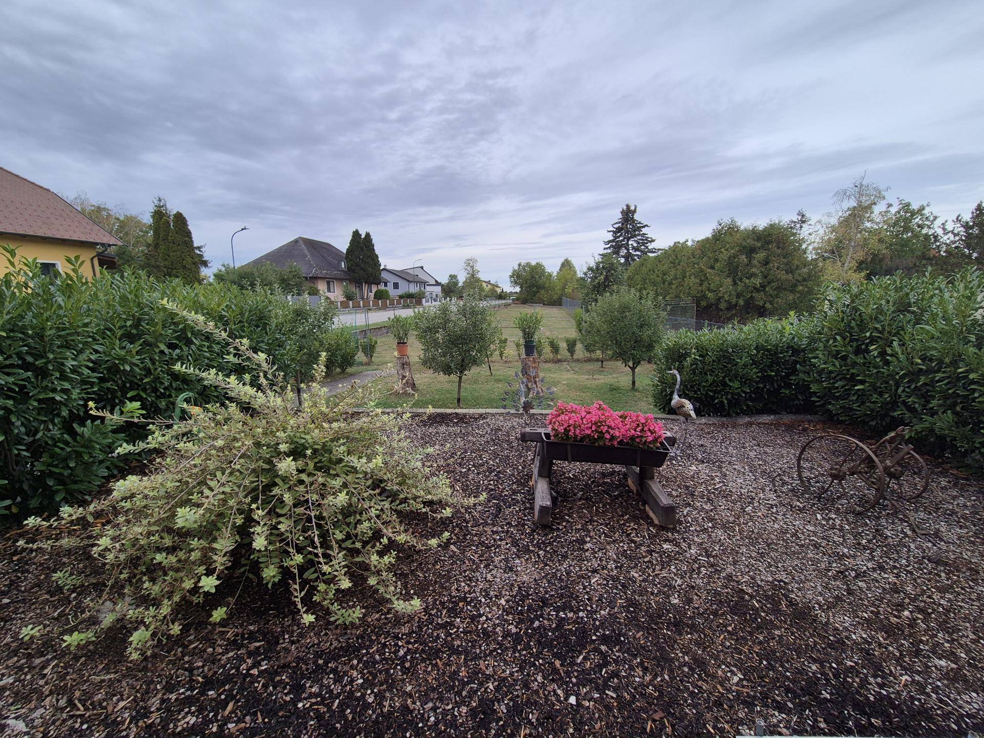 Weitläufiger Gartenbereich mit Zierpflanzen und Blick auf die umliegende Landschaft.