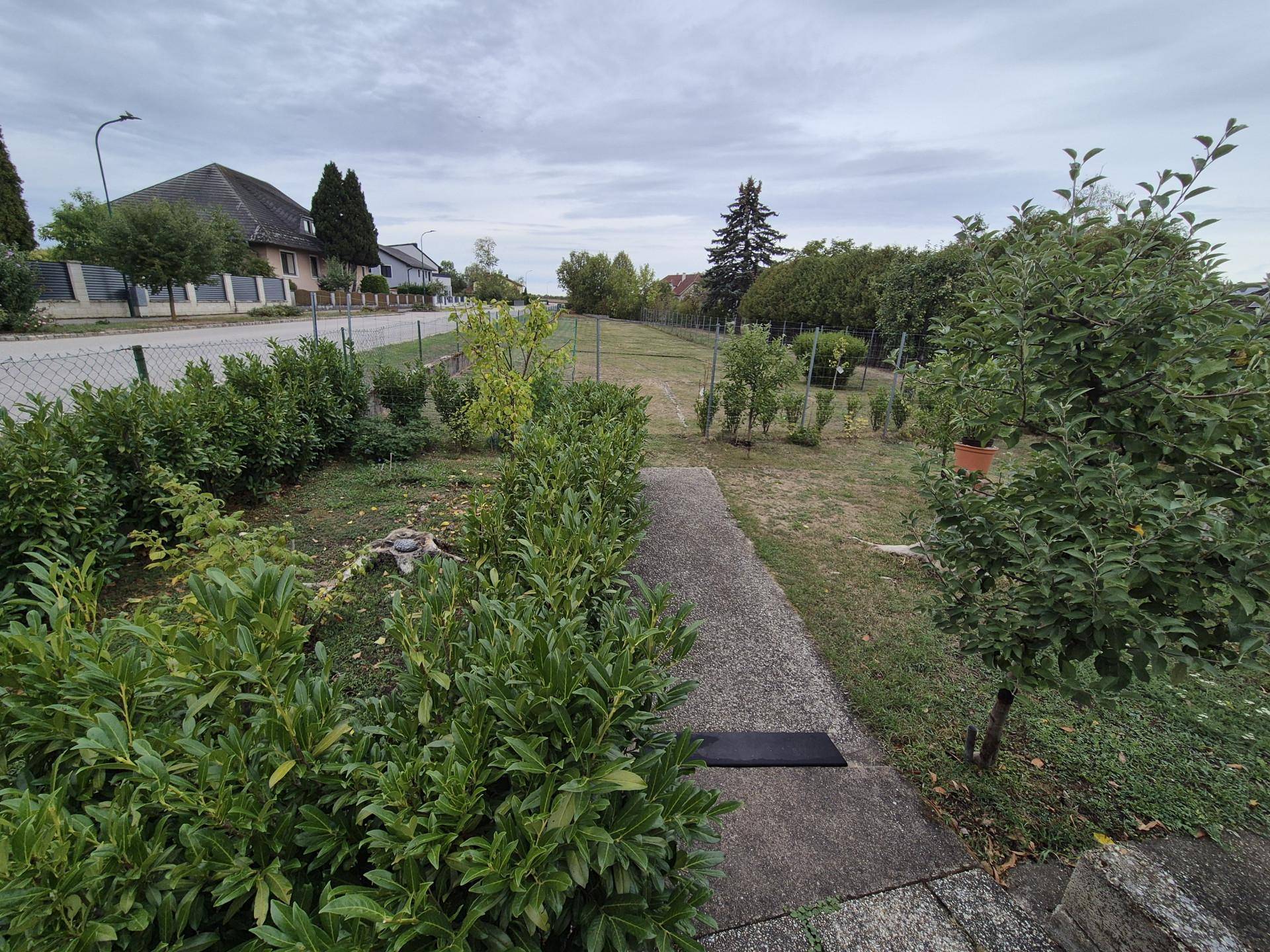 Gartenweg führt durch den grünen Gartenbereich mit Hecken und Bäumen.
