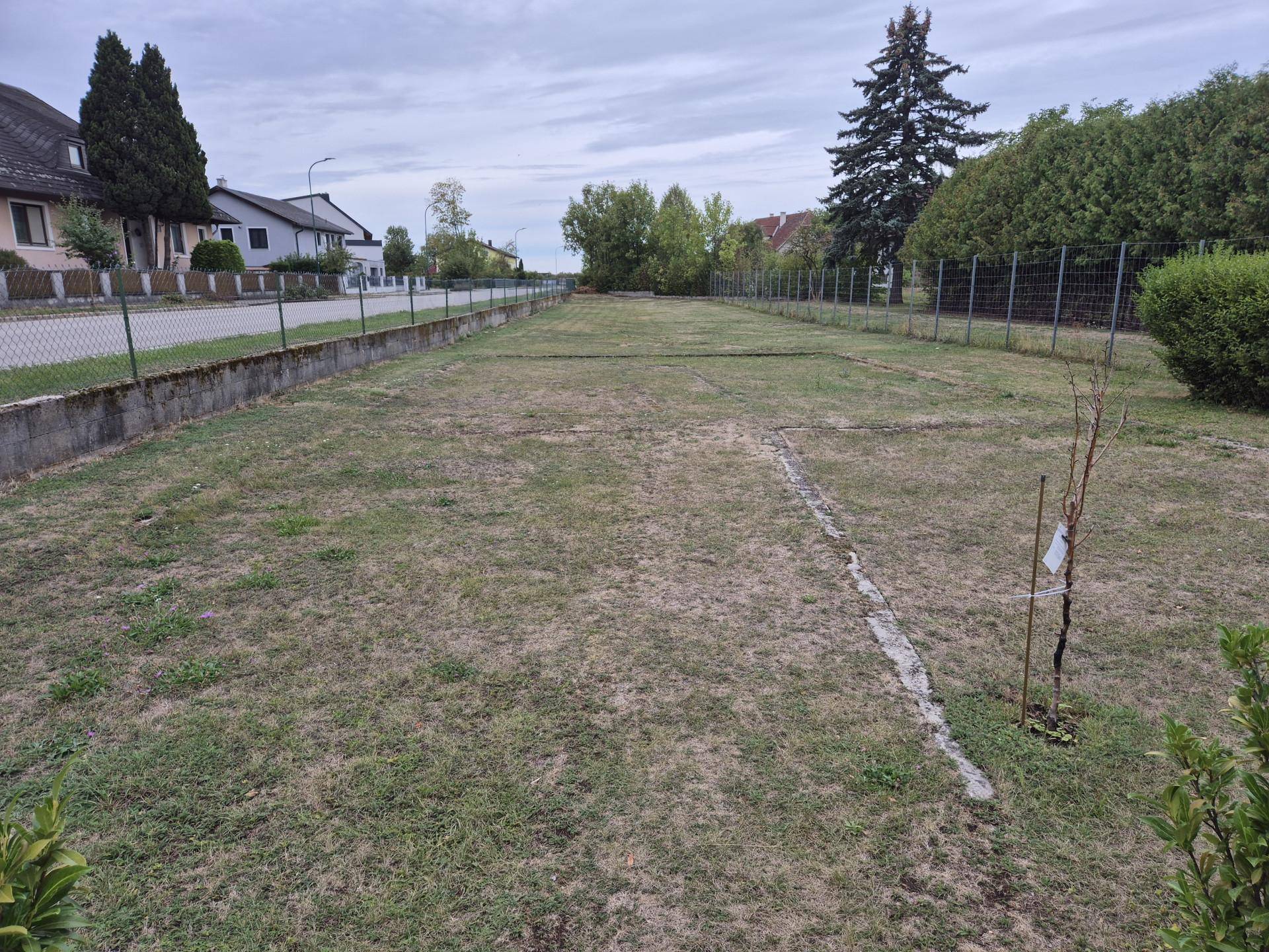 Weitläufige Rasenfläche im Gartenbereich, umgeben von Hecken und Bäumen.