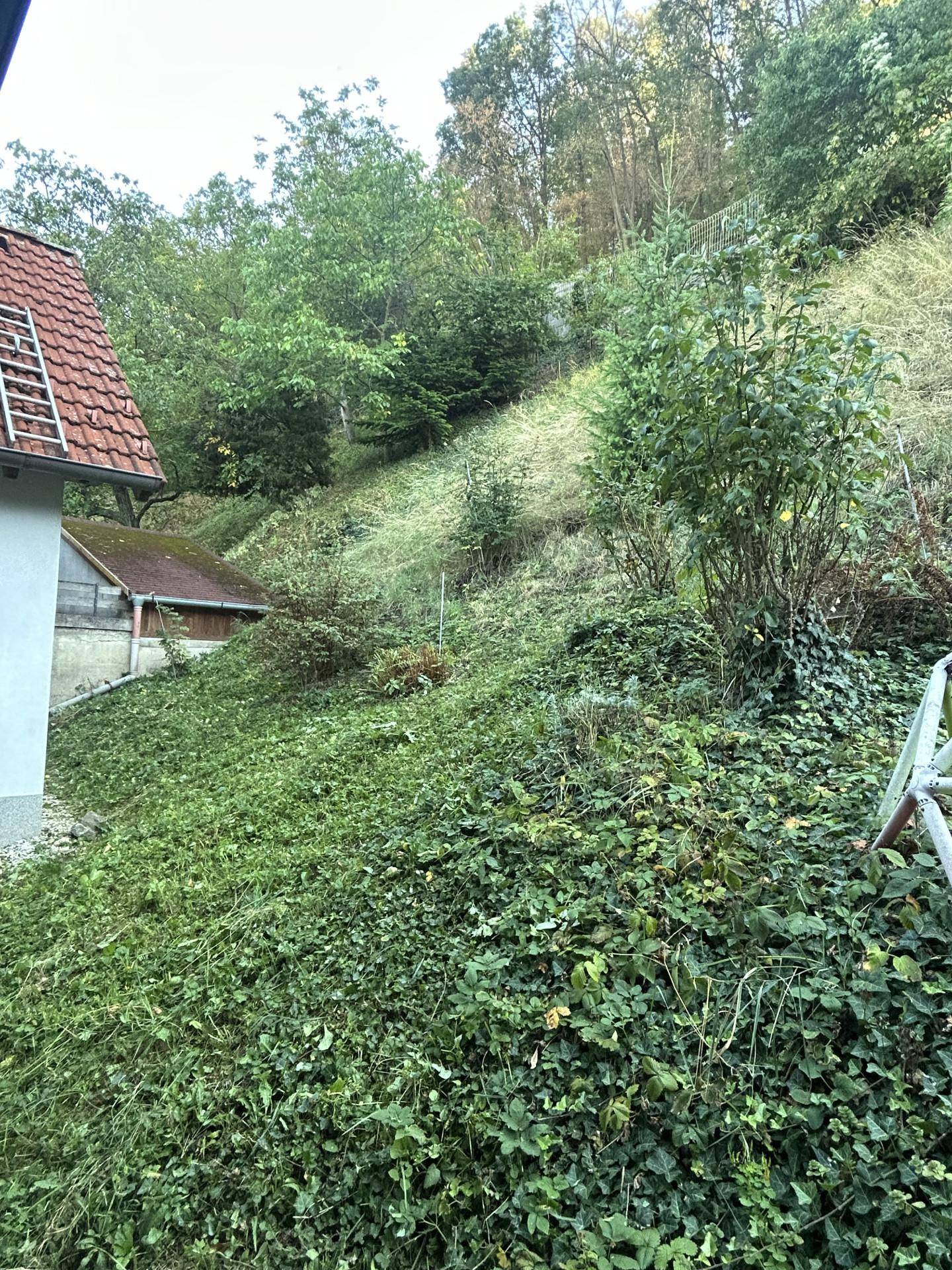 Ansicht23