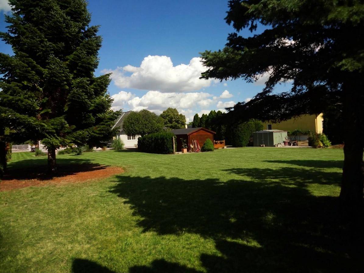 Weitläufiger Garten mit großen Bäumen, gepflegtem Rasen und Blick auf das Haus.