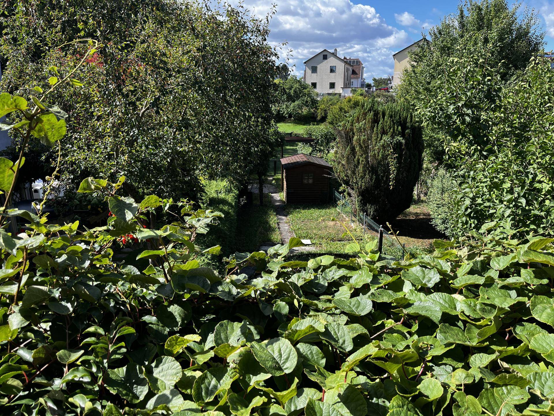 Weitläufiger Gartenbereich mit viel Grün, Bäumen und einem kleinen Gartenhaus im Hintergrund.
