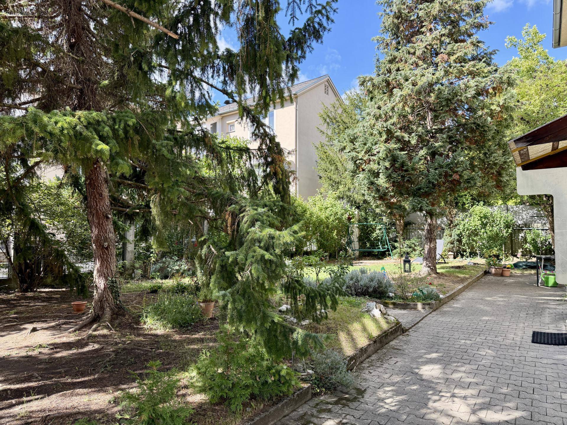 Grüner Gartenbereich mit altem Baumbestand, gepflastertem Weg und einem Gebäude im Hintergrund.