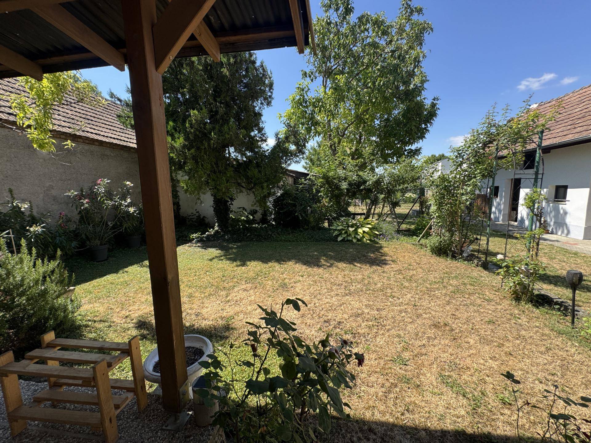 Blick in den Garten
