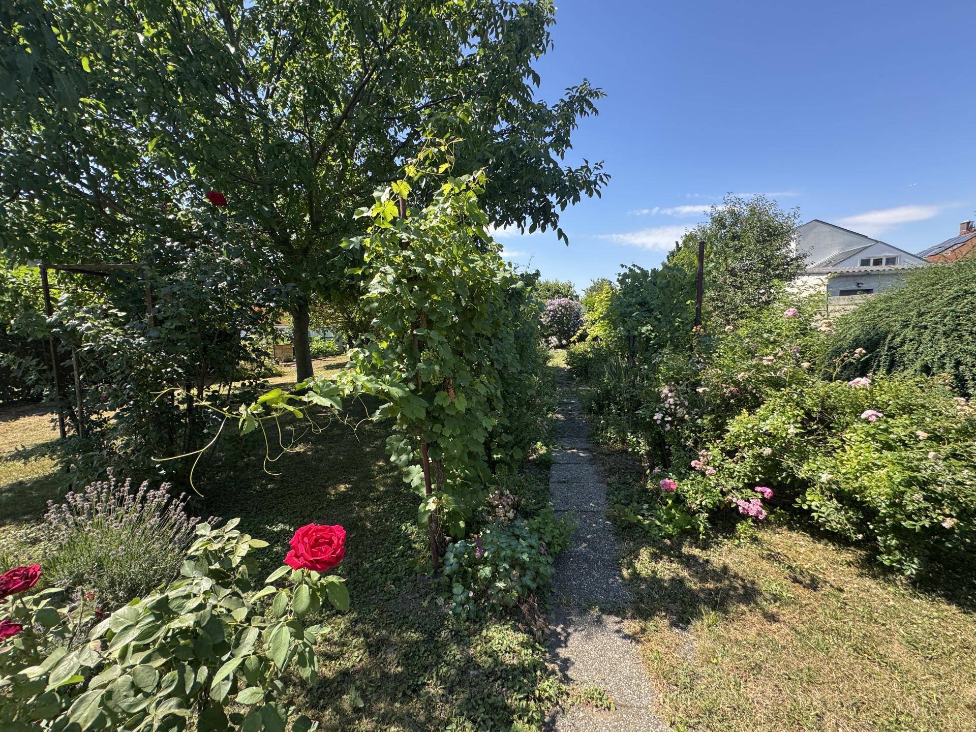 herrlicher Garten