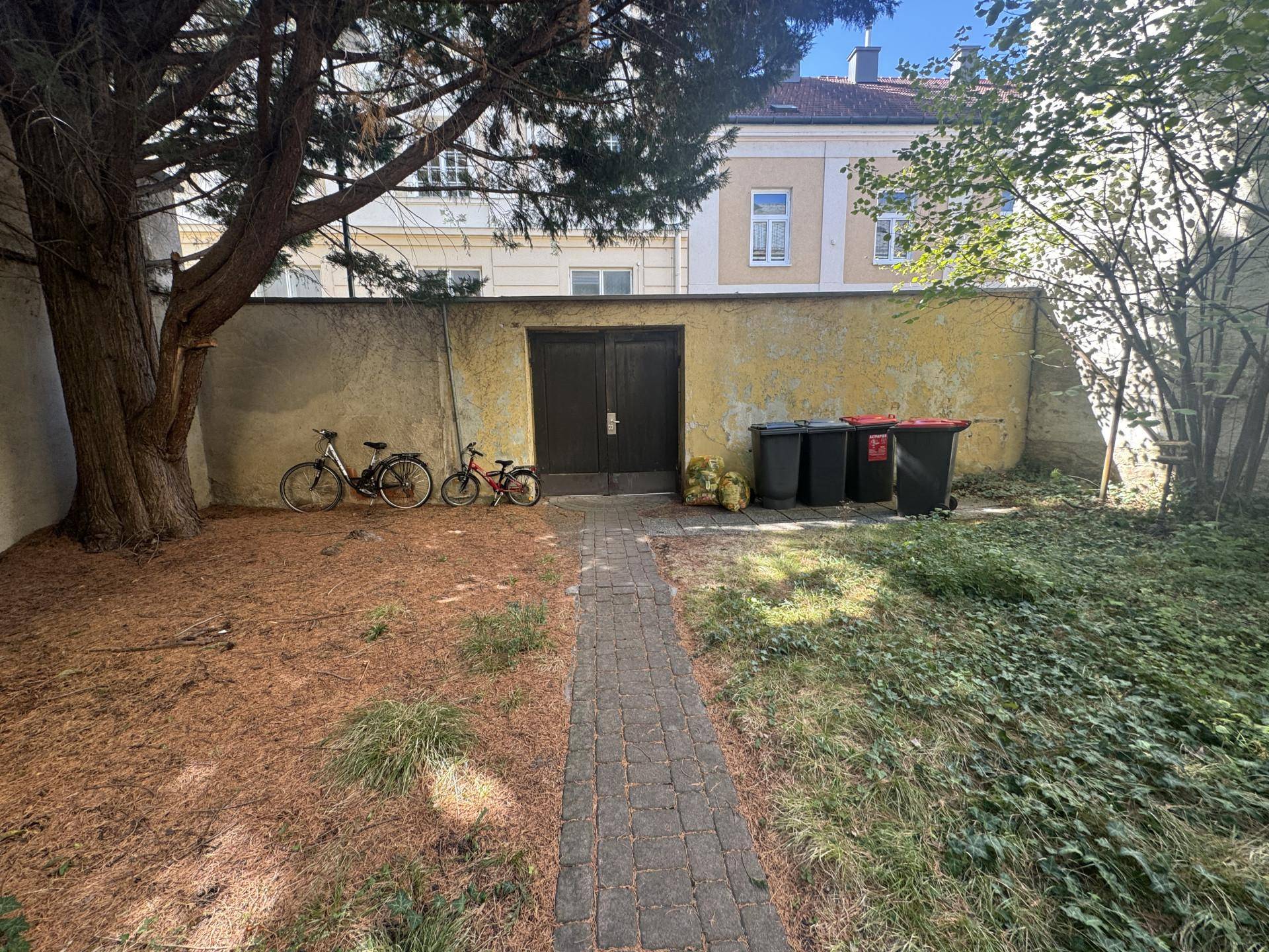 Kleiner Gartenbereich mit altem Baum, gepflastertem Weg und Abstellmöglichkeiten für Fahrräder.