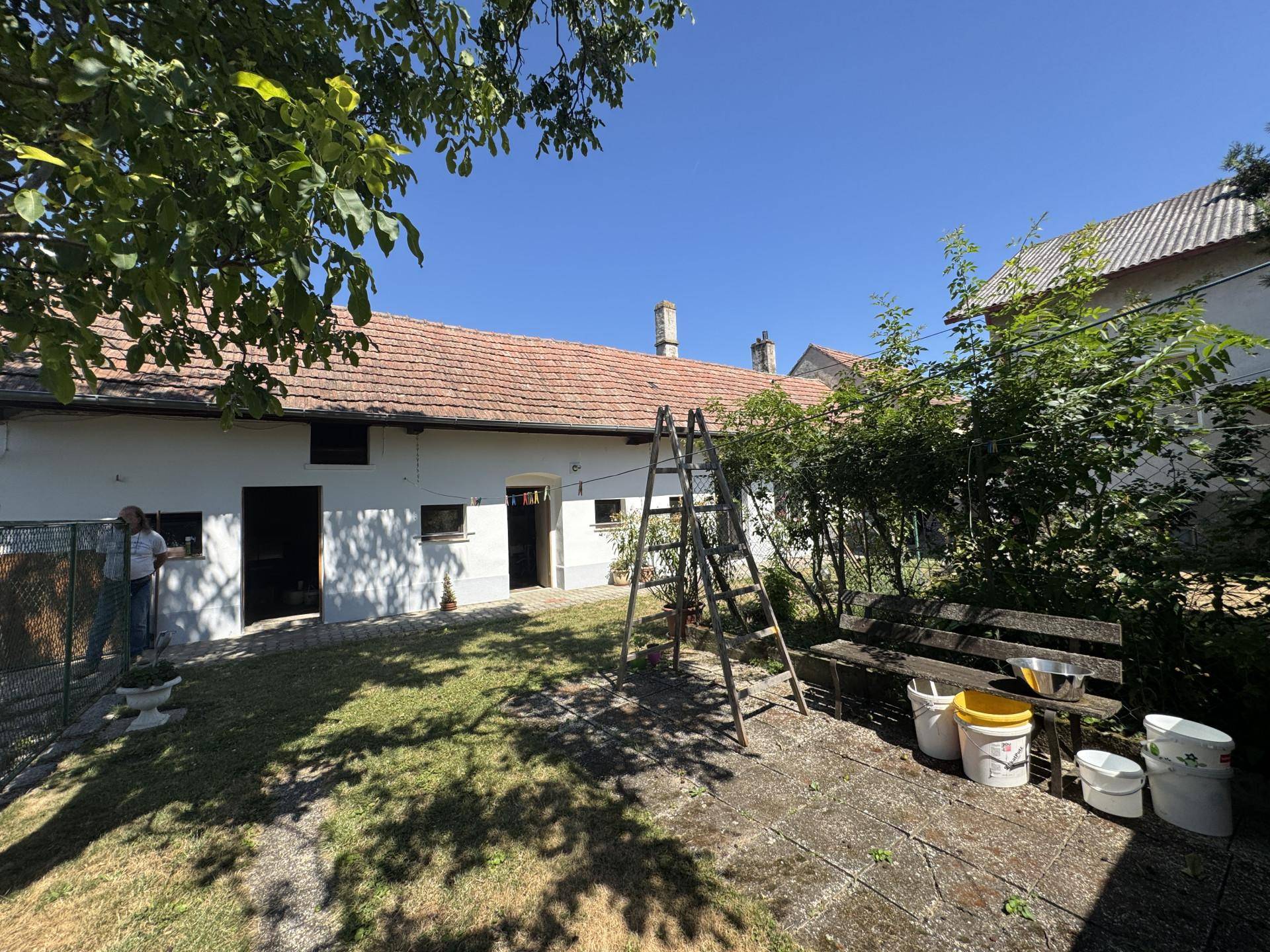 Gartenbereich hinter dem Haus mit Rasenfläche, Terrasse und alten Bäumen unter blauem Himmel.