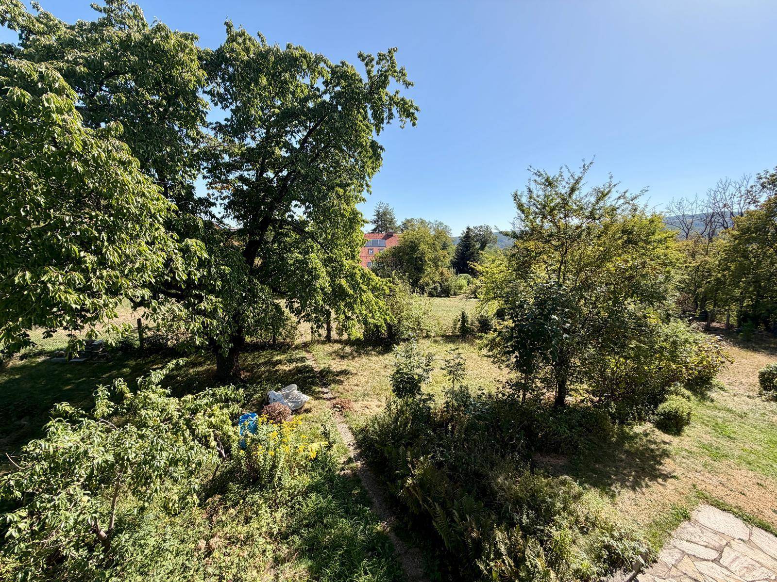 Blick in den großen Garten