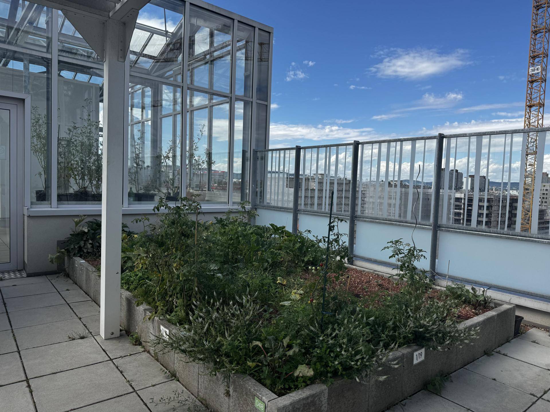Dachterrasse
