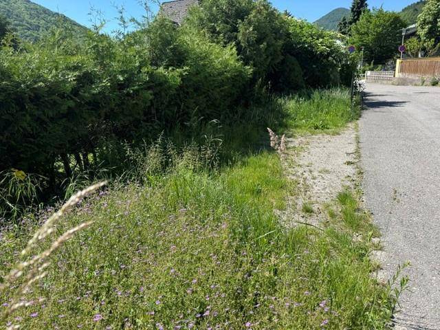 Wild bewachsenes Gartengrundstück mit Wiese und Büschen entlang einer ländlichen Straße.