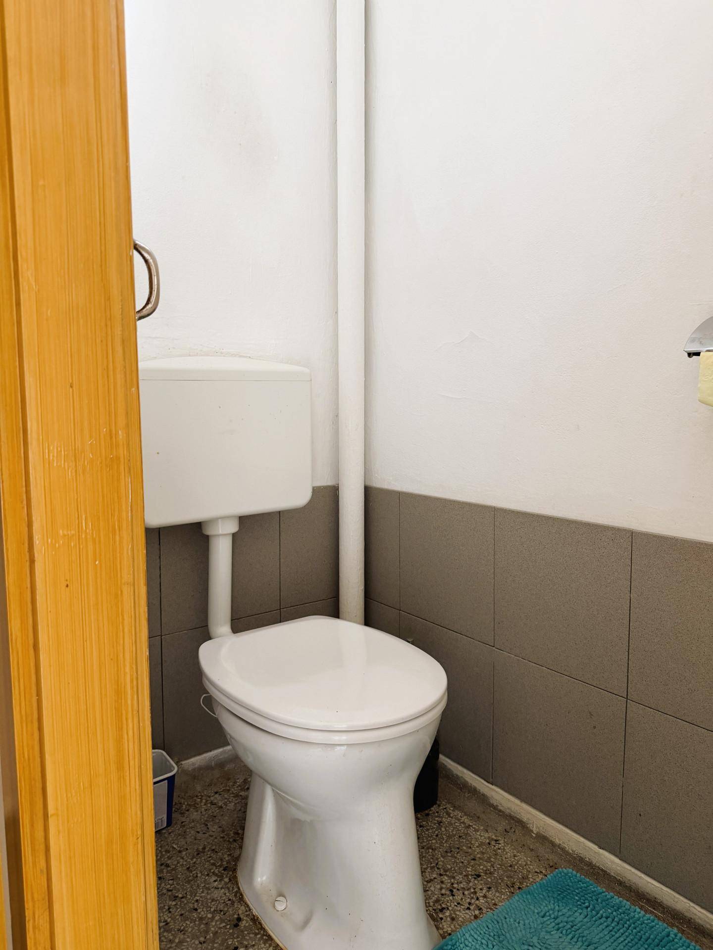 Separate Toilette mit einfacher Ausstattung und halbhohen Fliesen an der Wand.