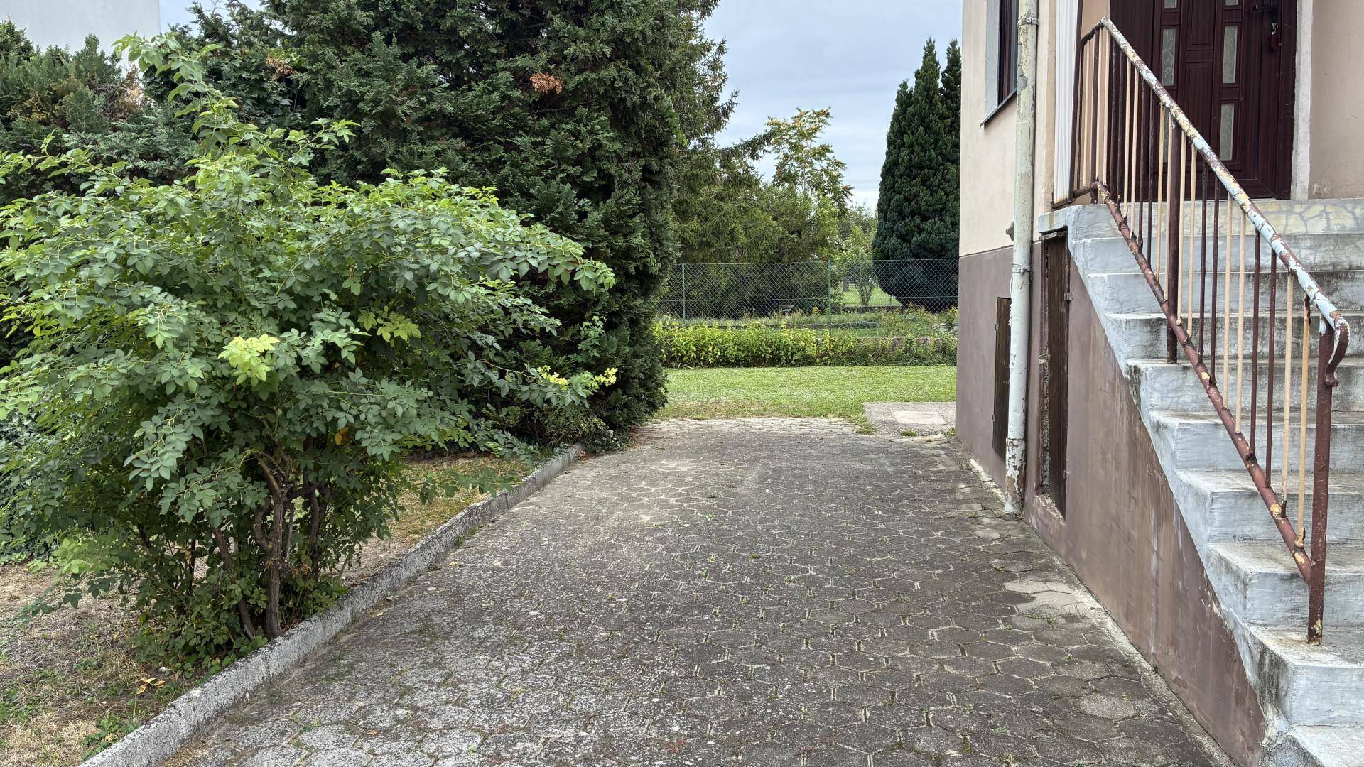 Gepflasterter Weg zum Hauseingang mit Treppe und umgebender Vegetation.