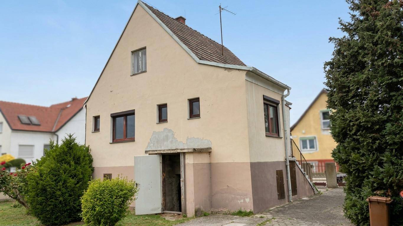 Rückseite des Hauses mit Kellerzugang und einfacher Fassadengestaltung.