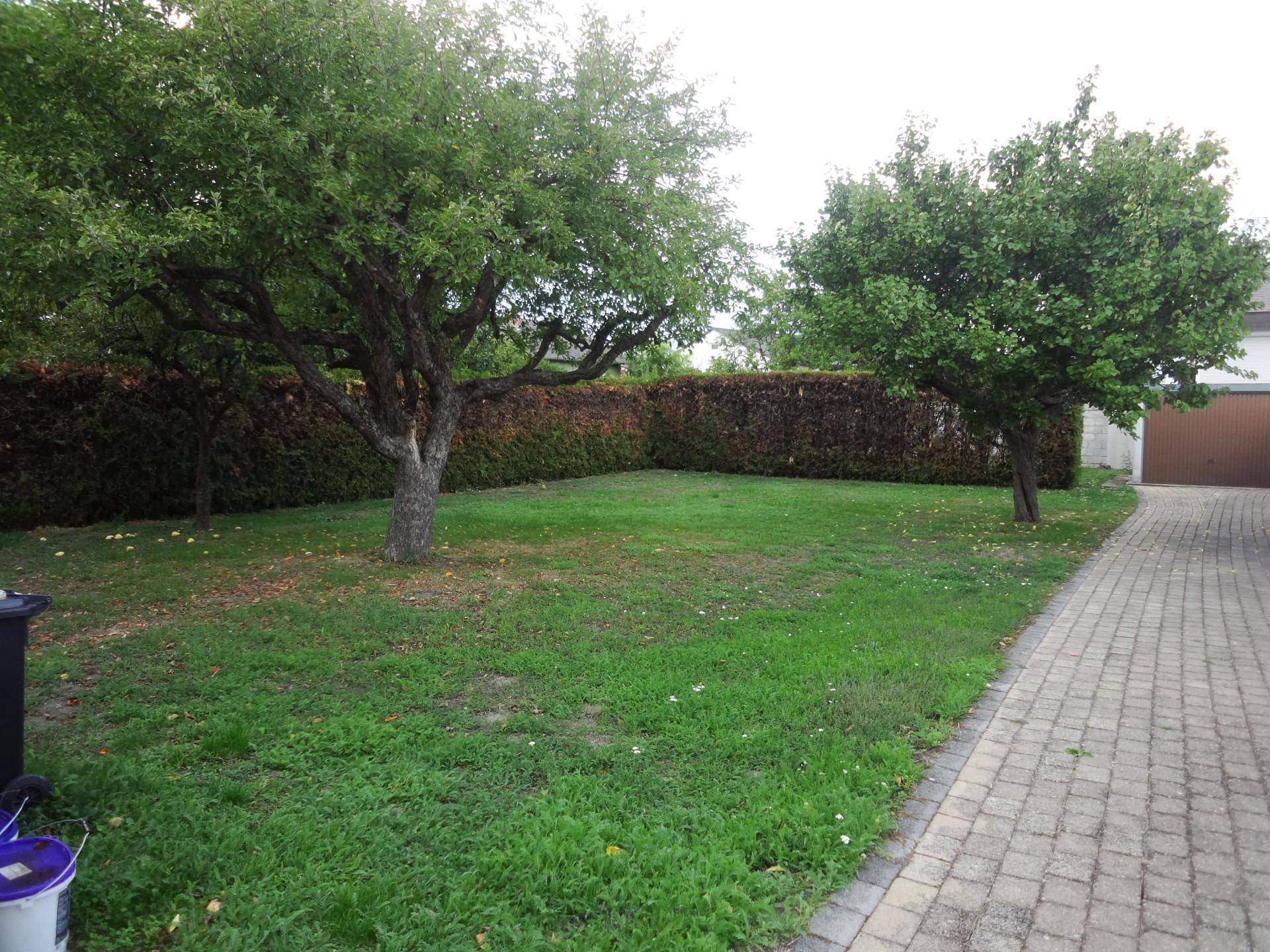 Garten mit Garage Rückwärts