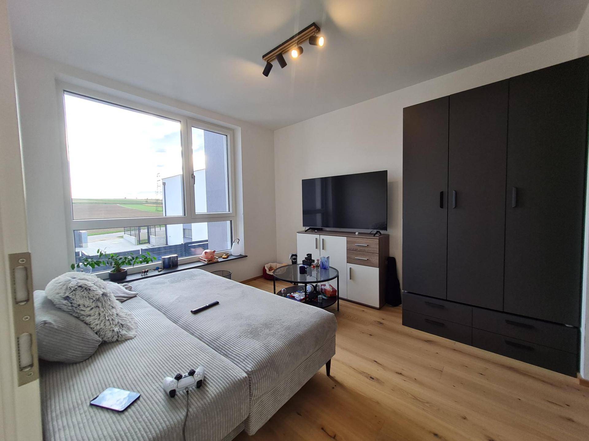 Modern eingerichtetes Schlafzimmer mit Schlafsofa, Fernseher und großem Fenster.