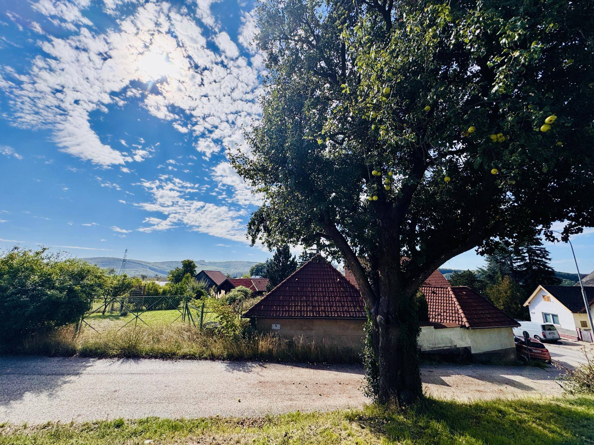 Aussicht
