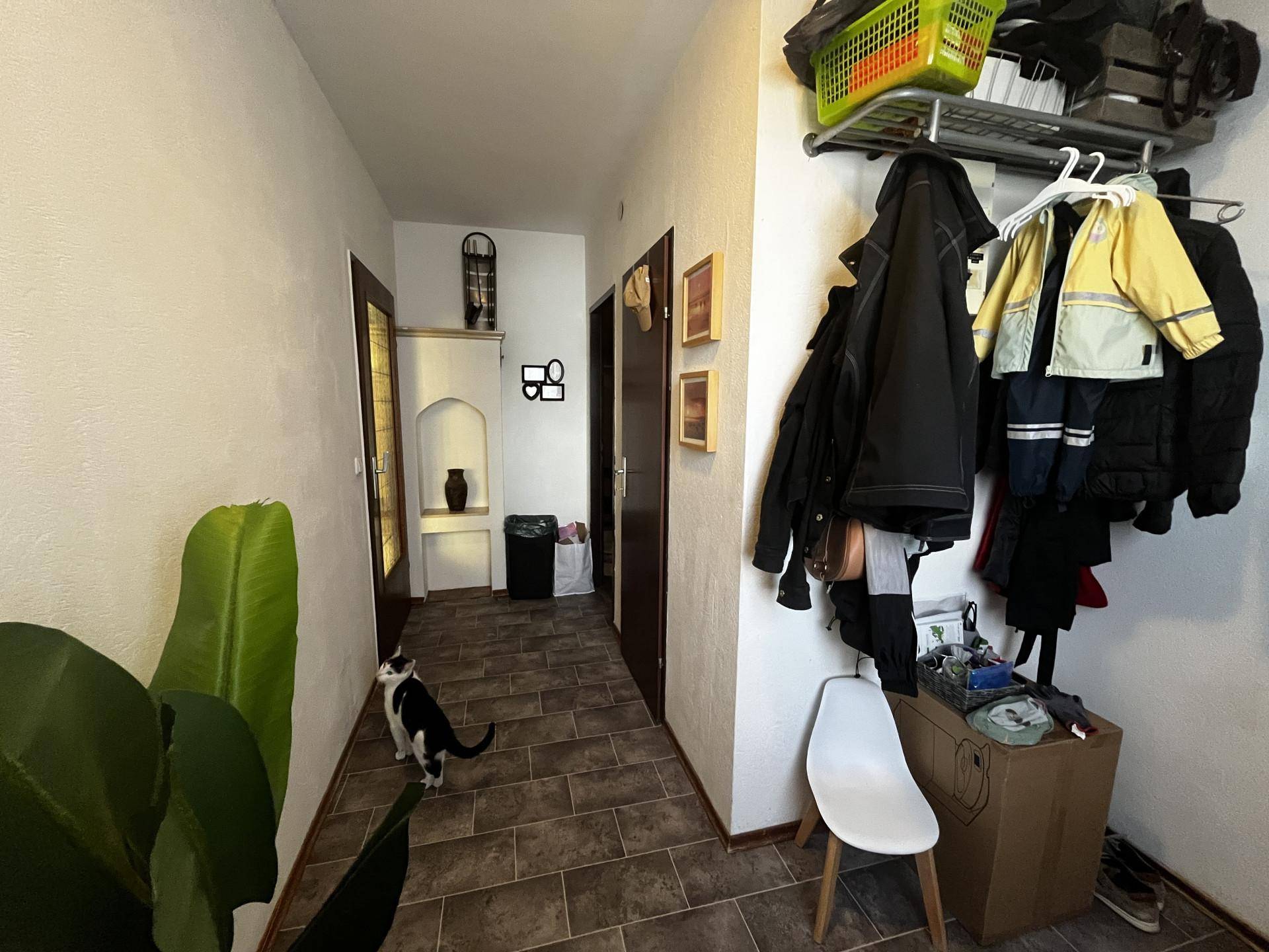 Flur mit Fliesenboden, Garderobe und Durchgang zu weiteren Räumen.