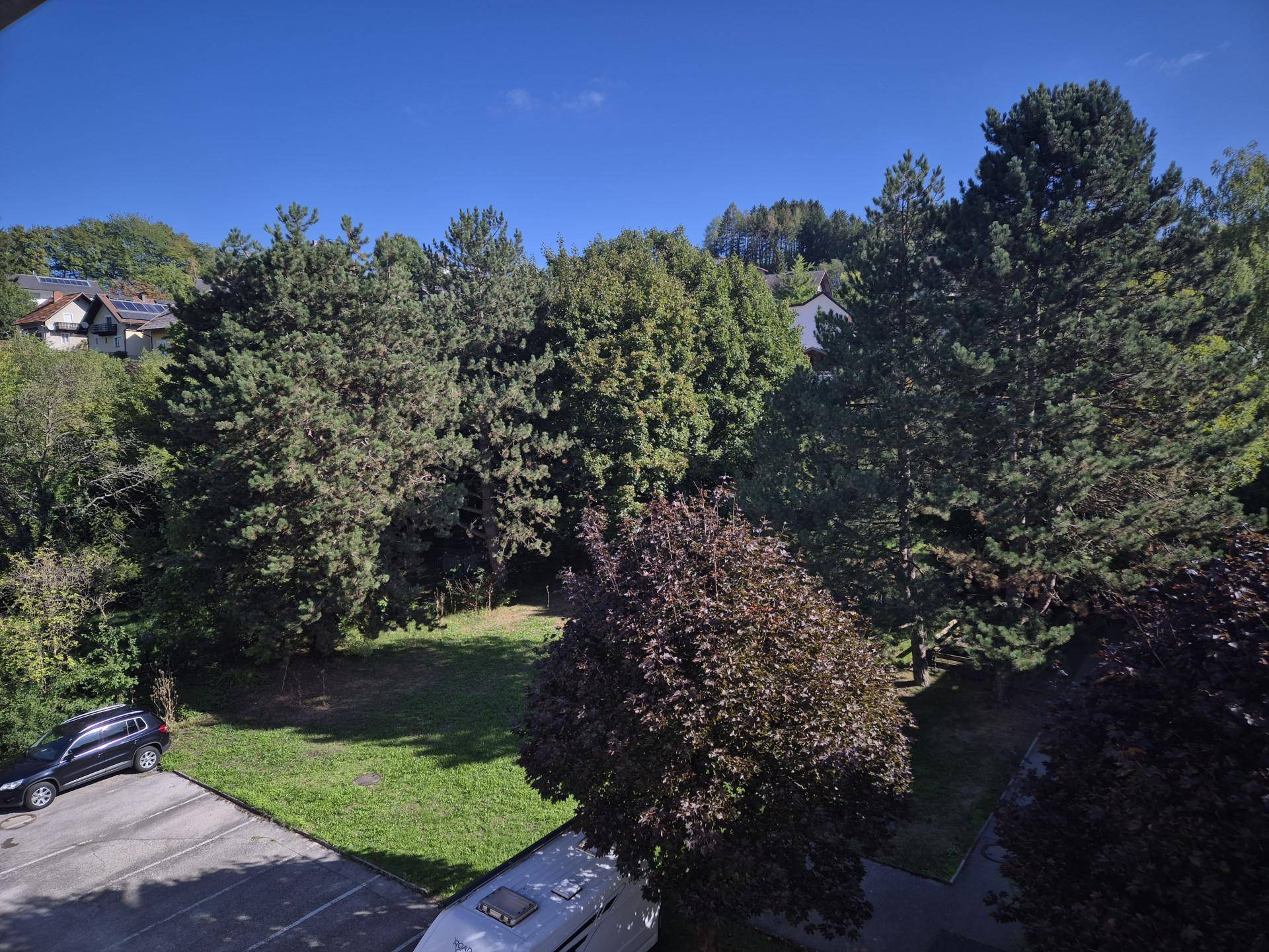 Ausblick in Garten