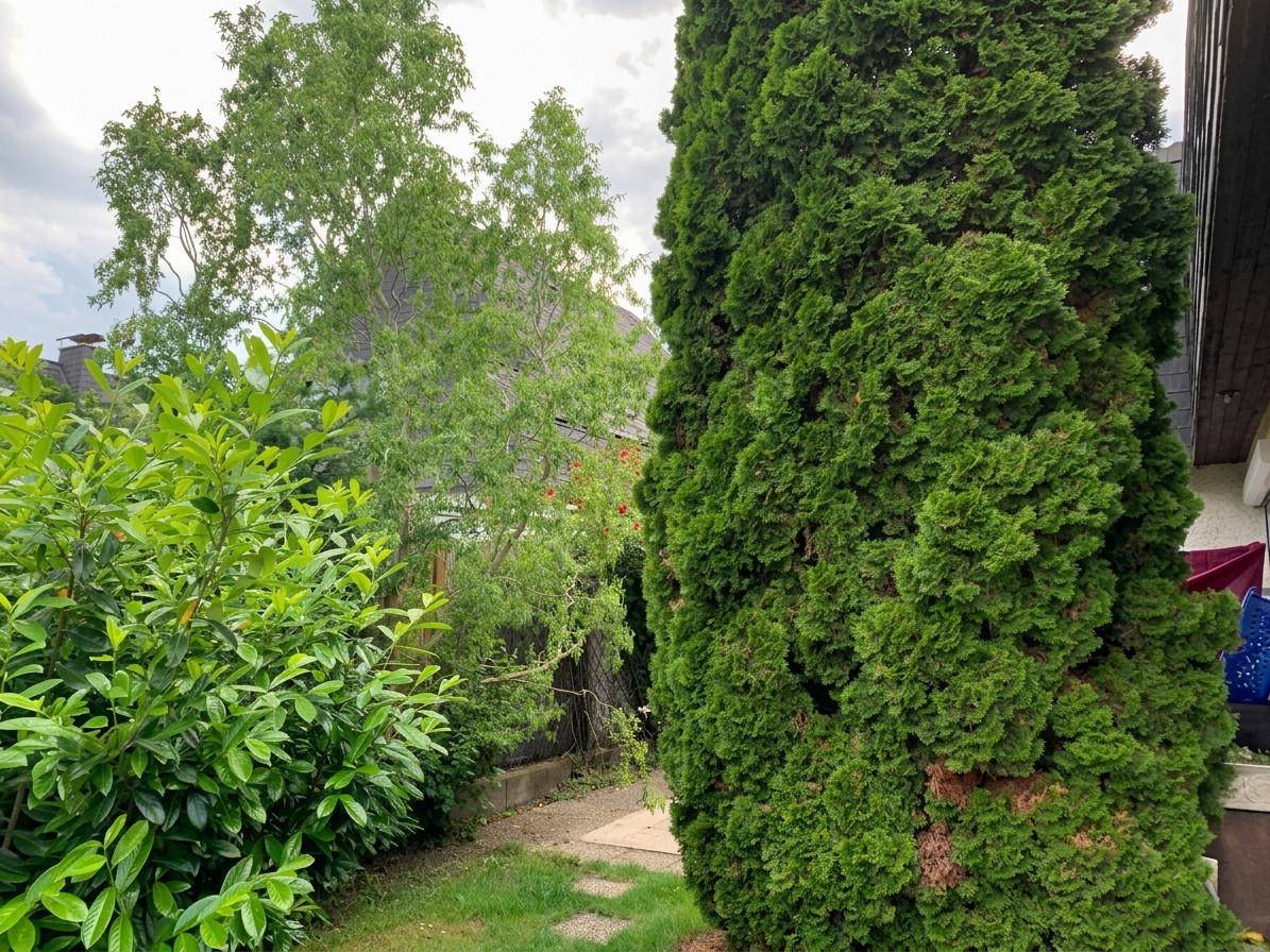 Weg seitlich vom Haus in den Garten