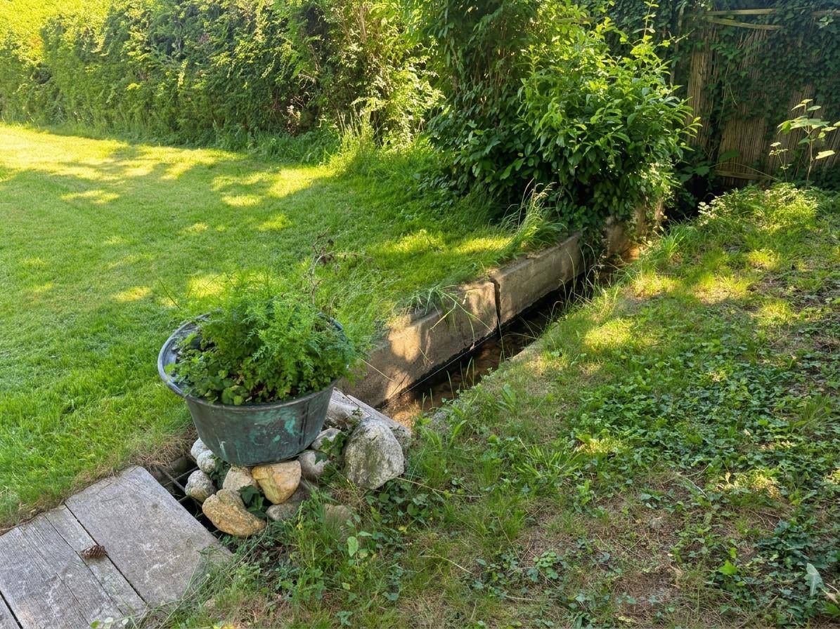 Kleiner Wasserlauf im Garten, umgeben von Grünflächen und einer dichten Hecke im Hintergrund.