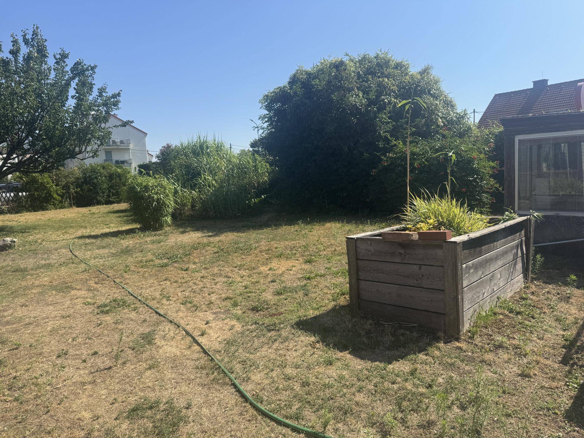 Weitläufiger Garten mit trockenem Rasen, einem Hochbeet und Blick auf die Nachbarschaft.