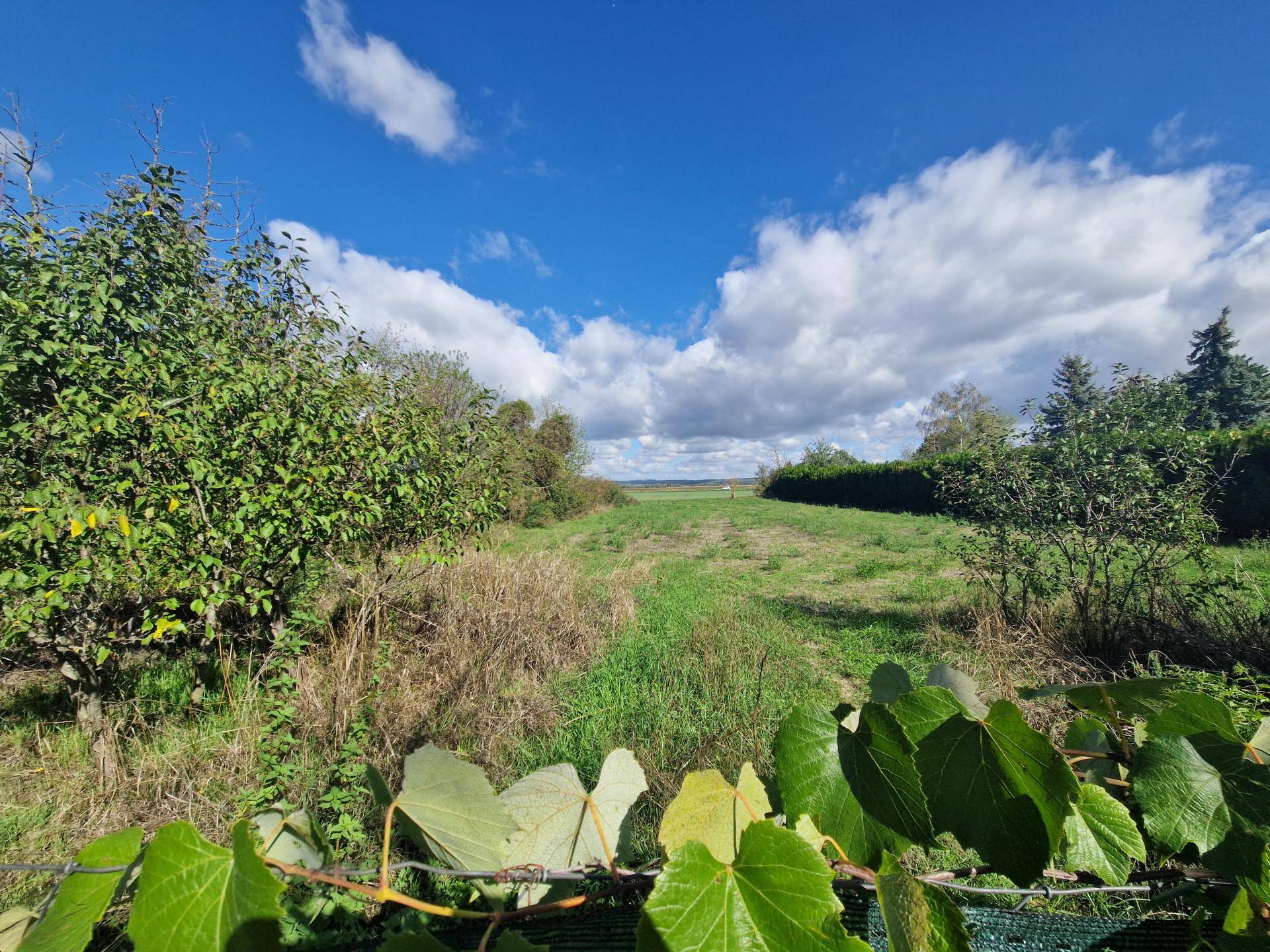 Weitläufige grüne Landschaft mit Feldern und Bäumen unter einem strahlend blauen Himmel.