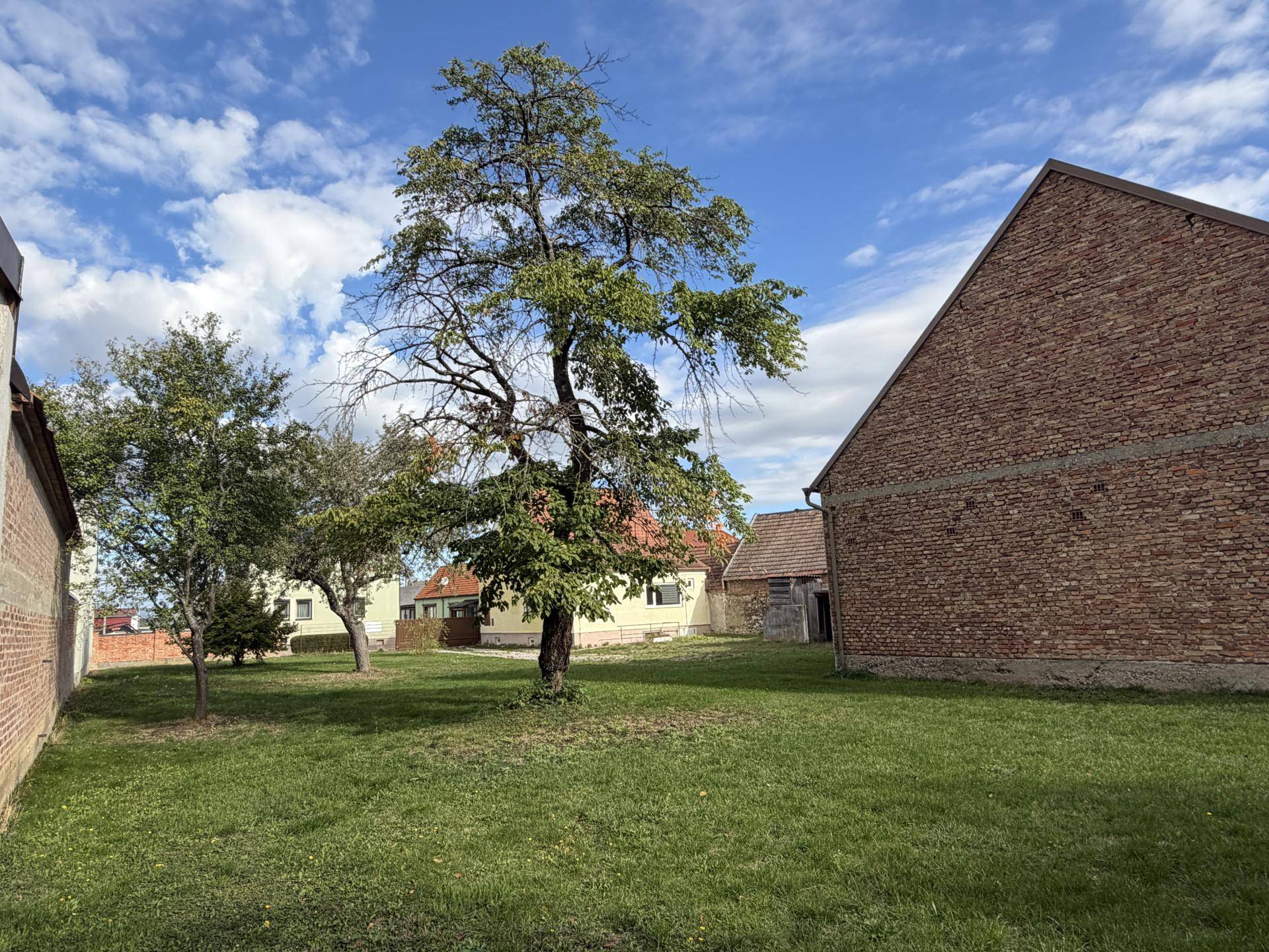 Weitläufige Grünfläche mit Bäumen und Blick auf die umliegenden Gebäude unter blauem Himmel.