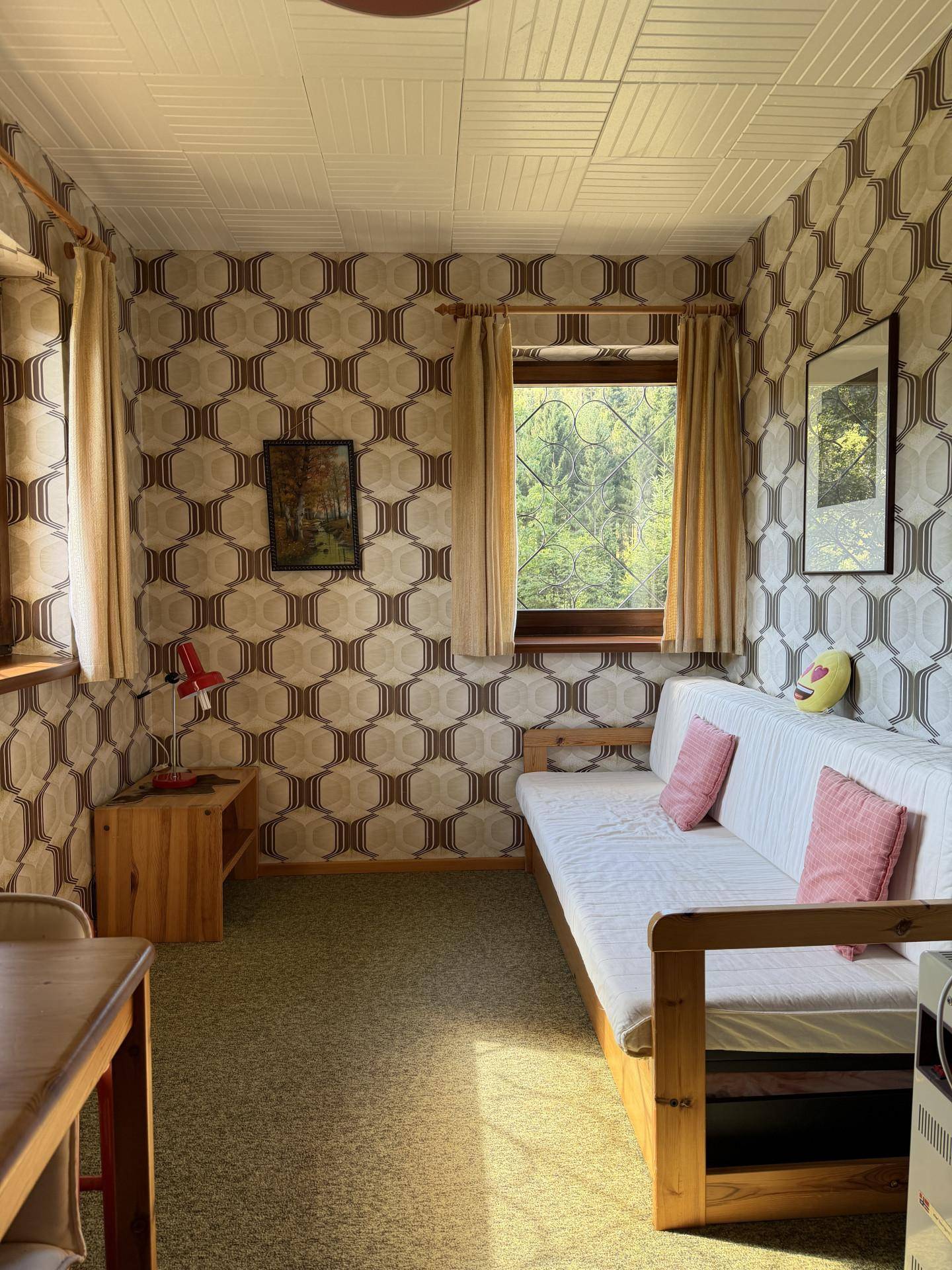 Wohnzimmer mit Retro-Tapete, Schlafsofa und Blick in die Natur.