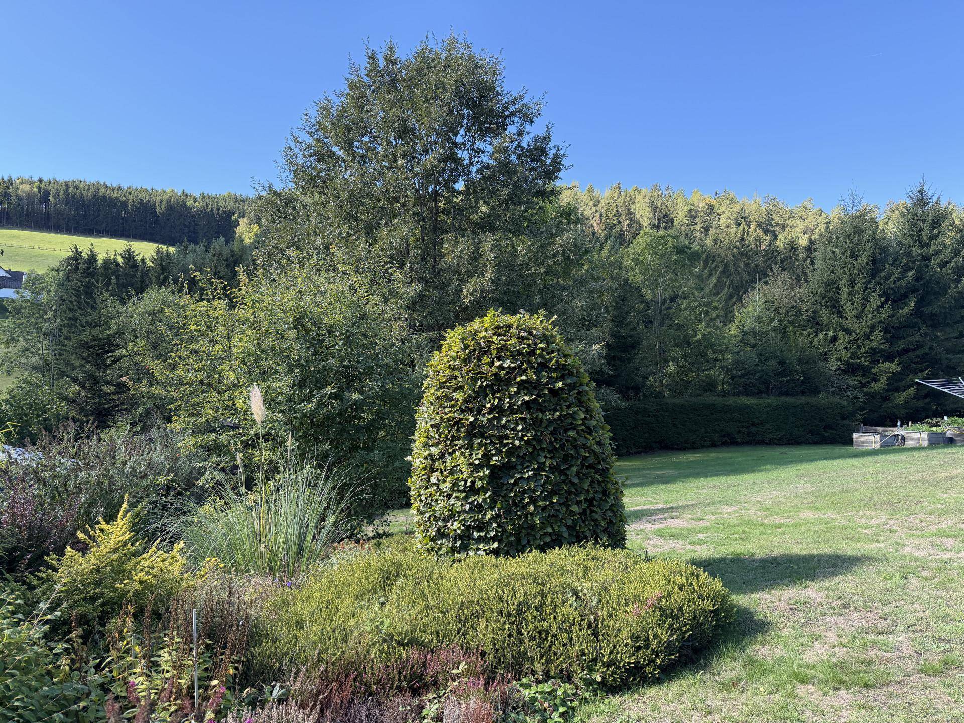 Gepflegter Garten mit verschiedenen Pflanzen und Rasenfläche in ländlicher Umgebung.
