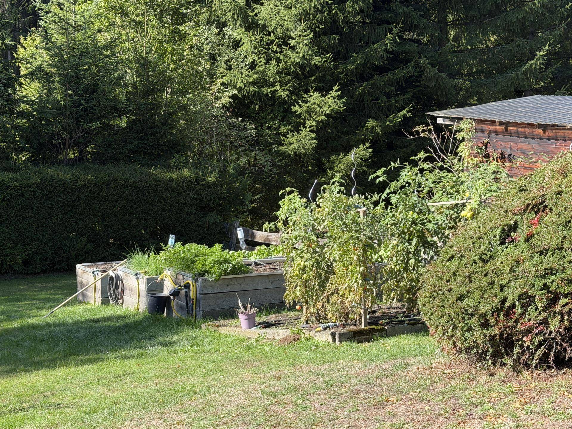 Gemüsegarten mit verschiedenen Pflanzen und Hochbeeten, umgeben von Grün.