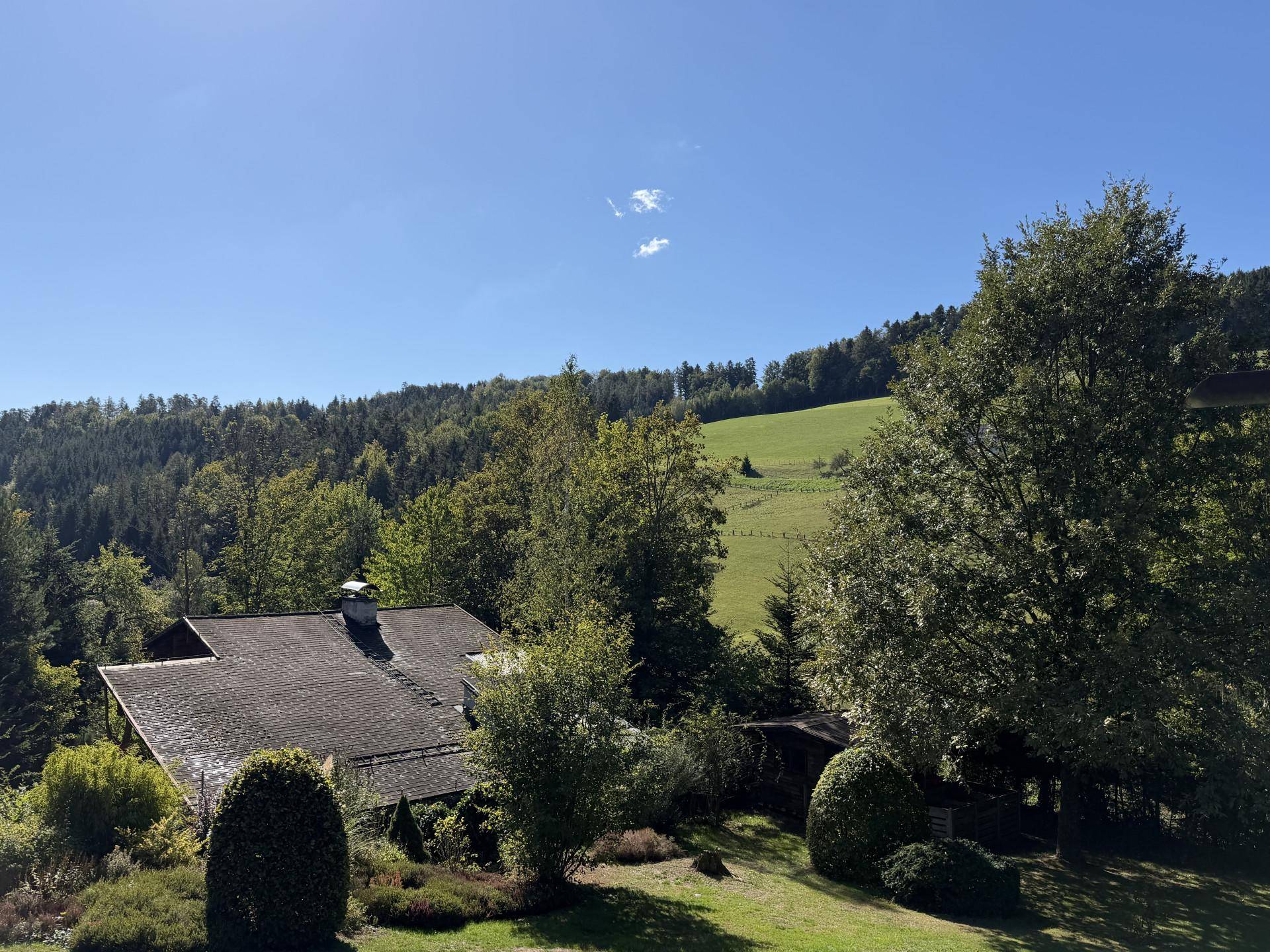 Weitläufiger Blick über die grüne Hügellandschaft und umliegende Wälder.