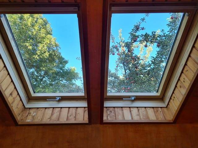 Ausblick